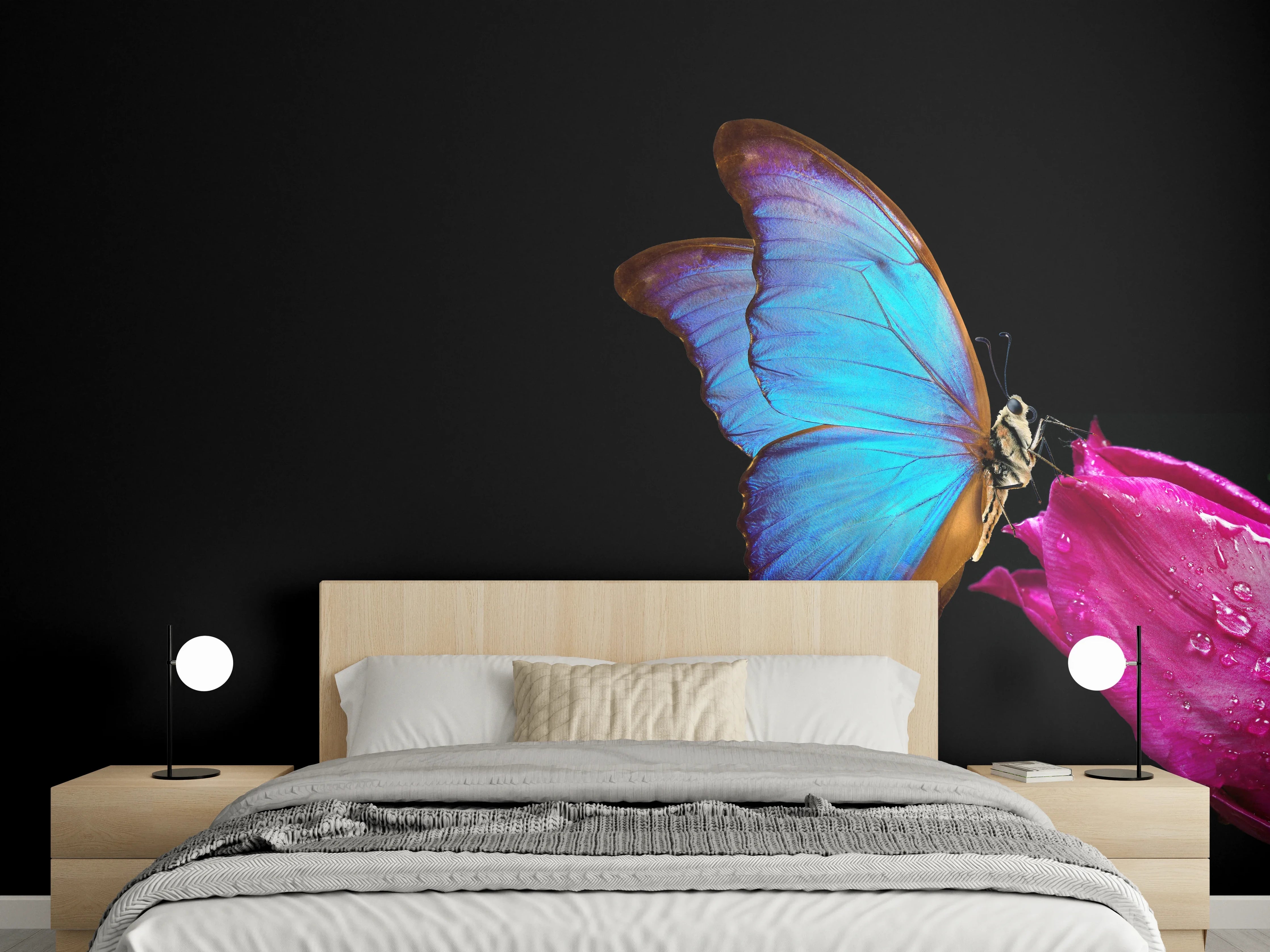 Wandverkleidung Schlafzimmer - Blauer Morphofalter - schwarzer Hintergrund