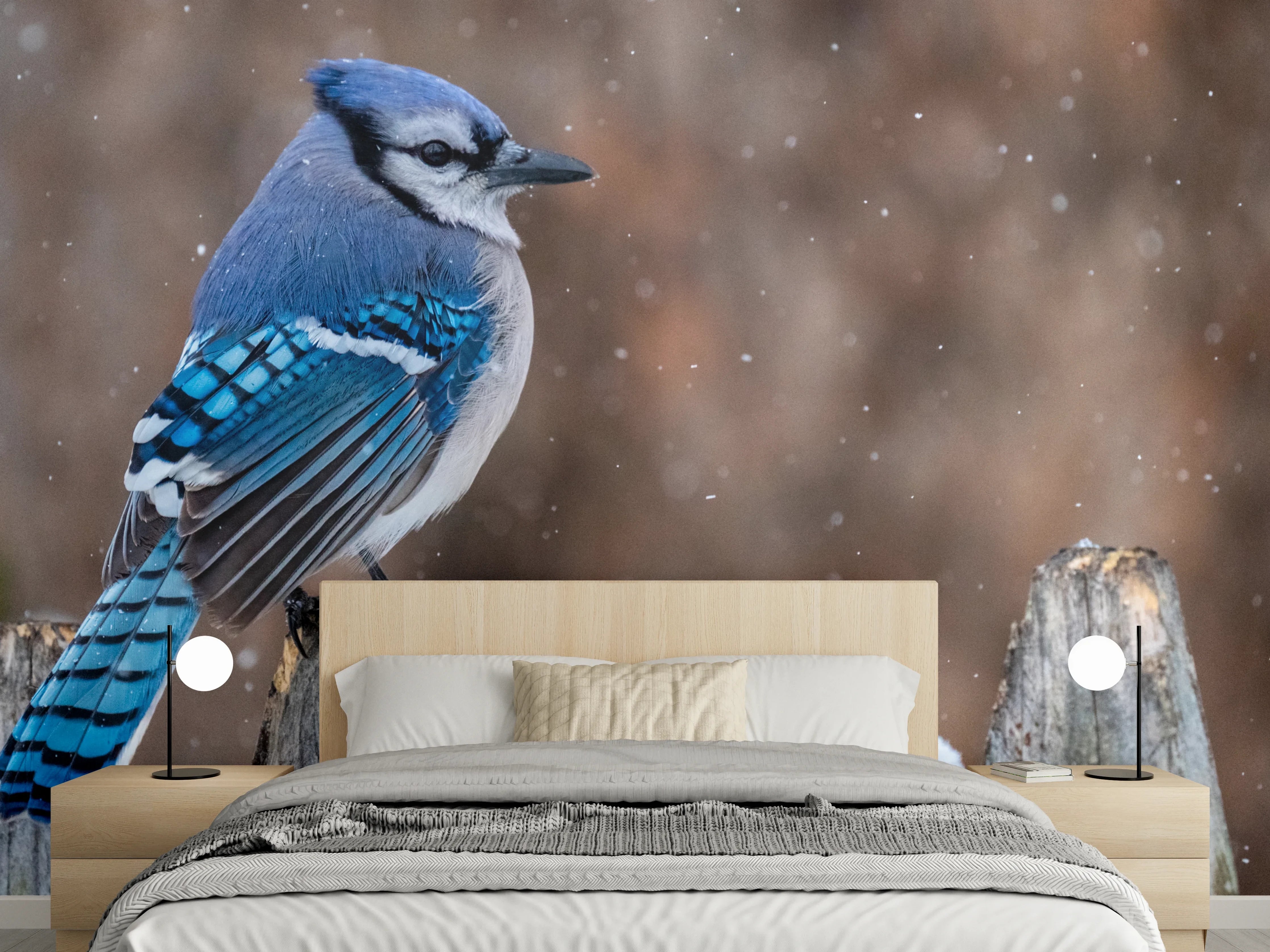 Wandverkleidung Schlafzimmer - Blauhäher im Schnee