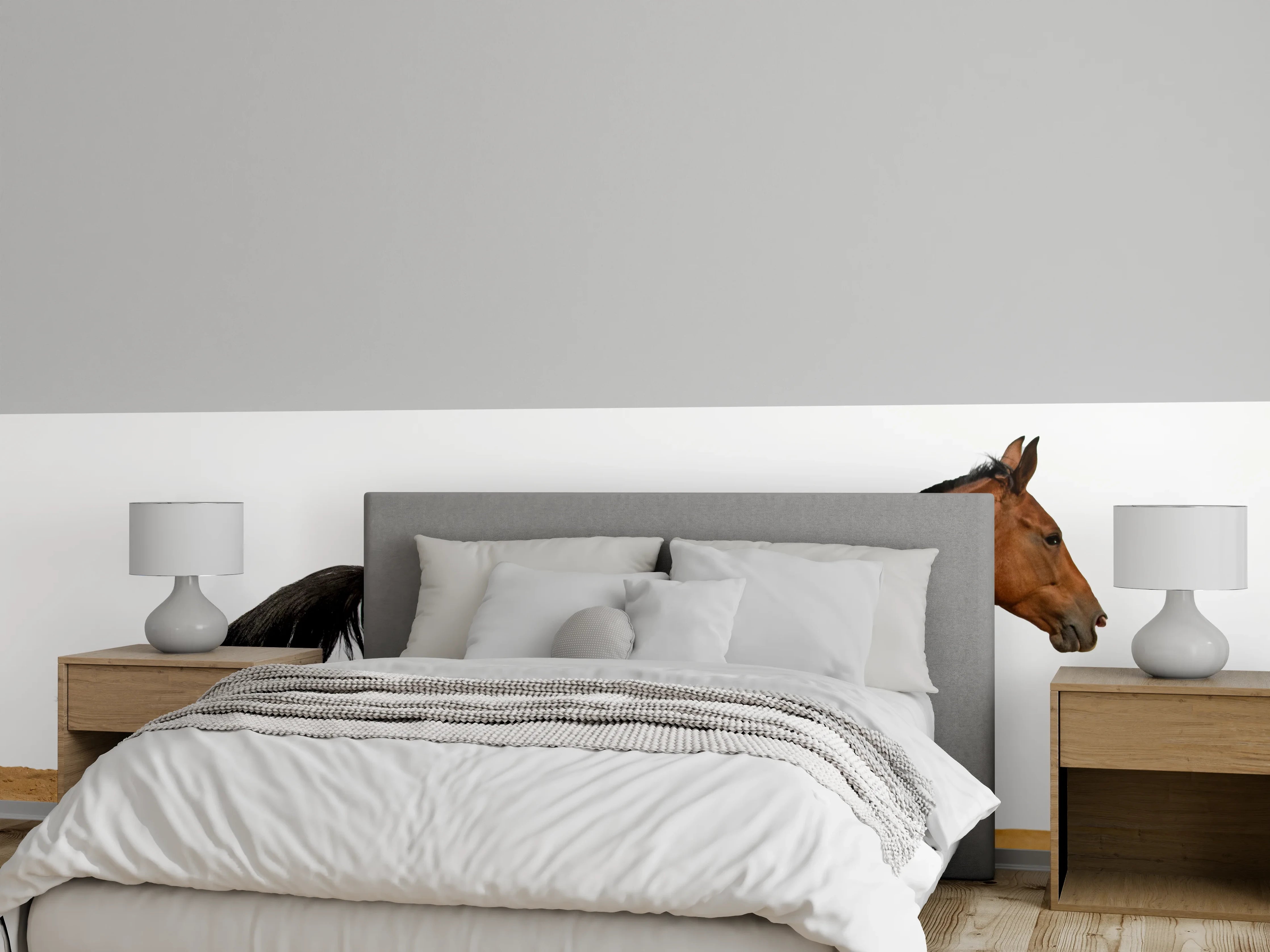 Wandverkleidung Schlafzimmer - Braunes Pferd galoppiert durch den Sand