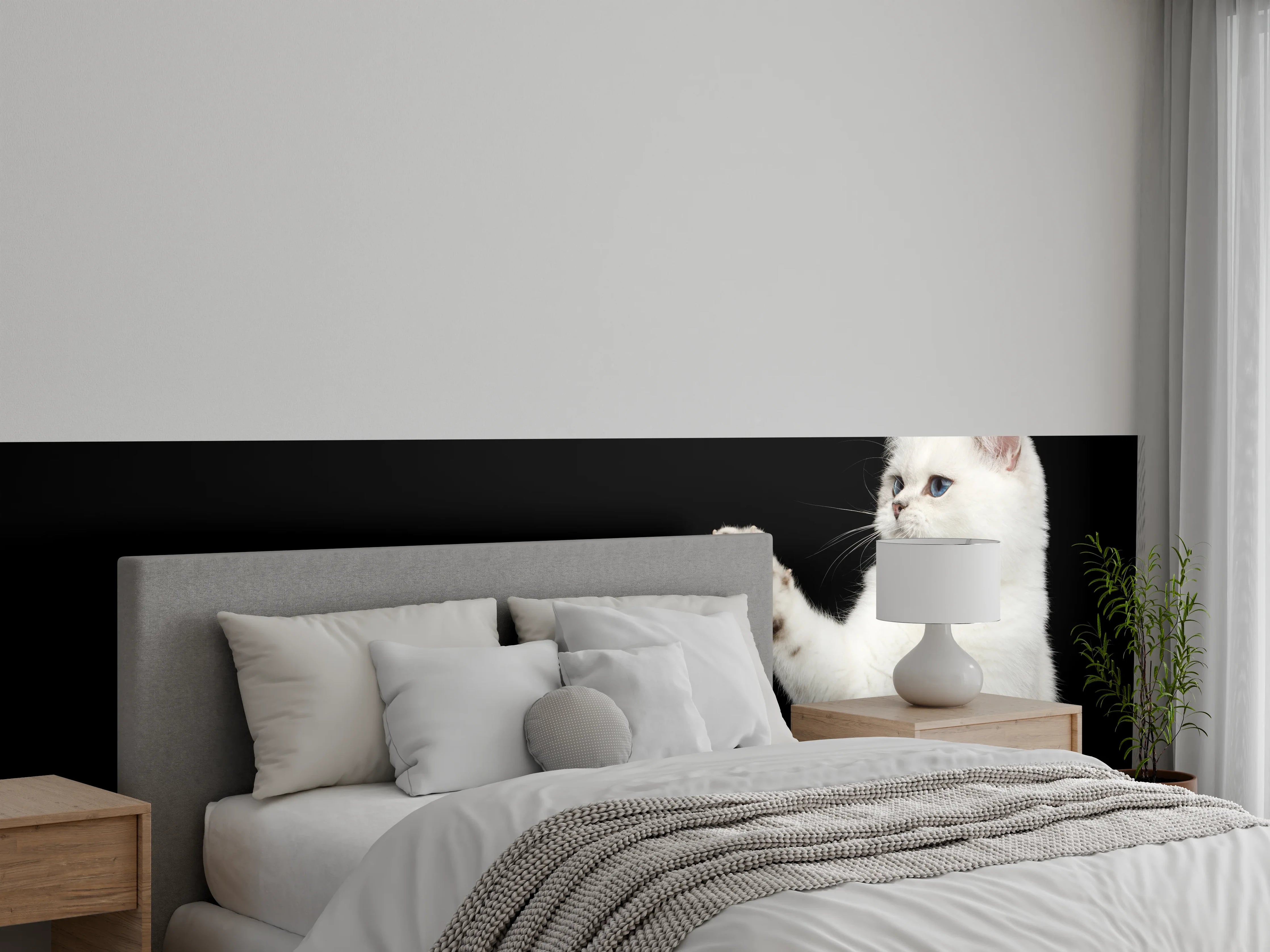 Wandverkleidung Schlafzimmer - British weiße Katze