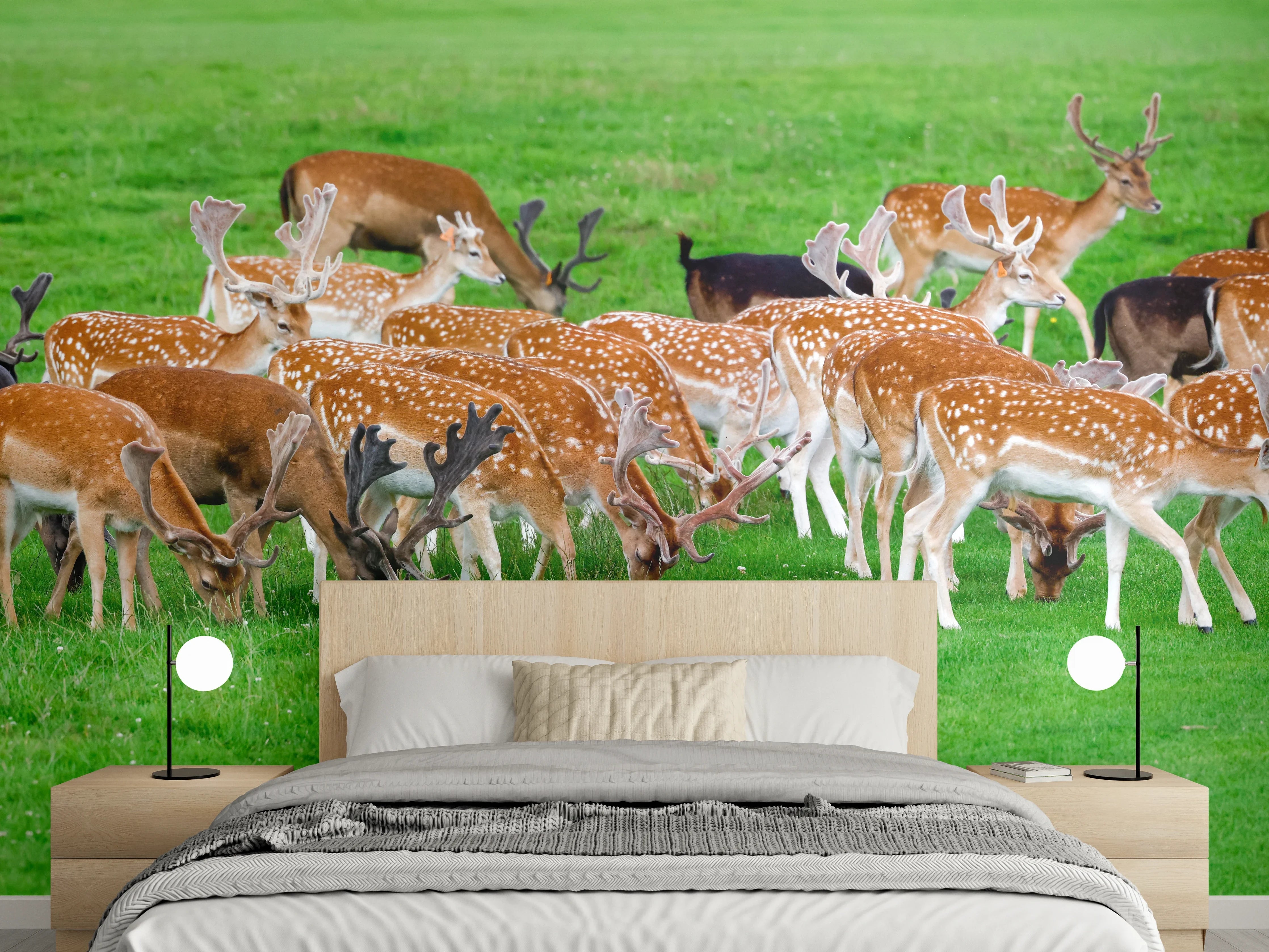 Wandverkleidung Schlafzimmer - Damwild-Herde auf grüner Wiese