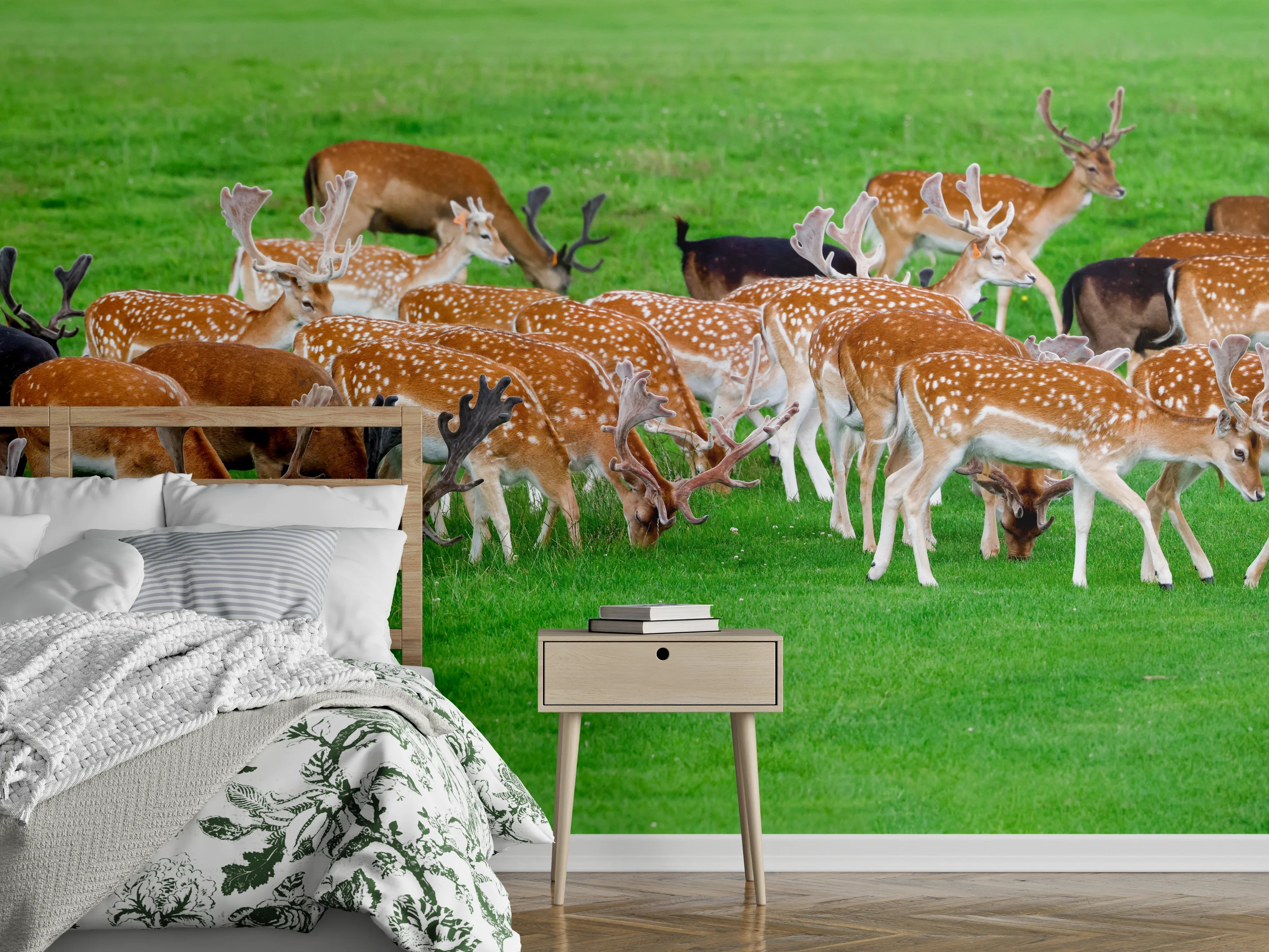 Wandverkleidung Schlafzimmer - Damwild-Herde auf grüner Wiese