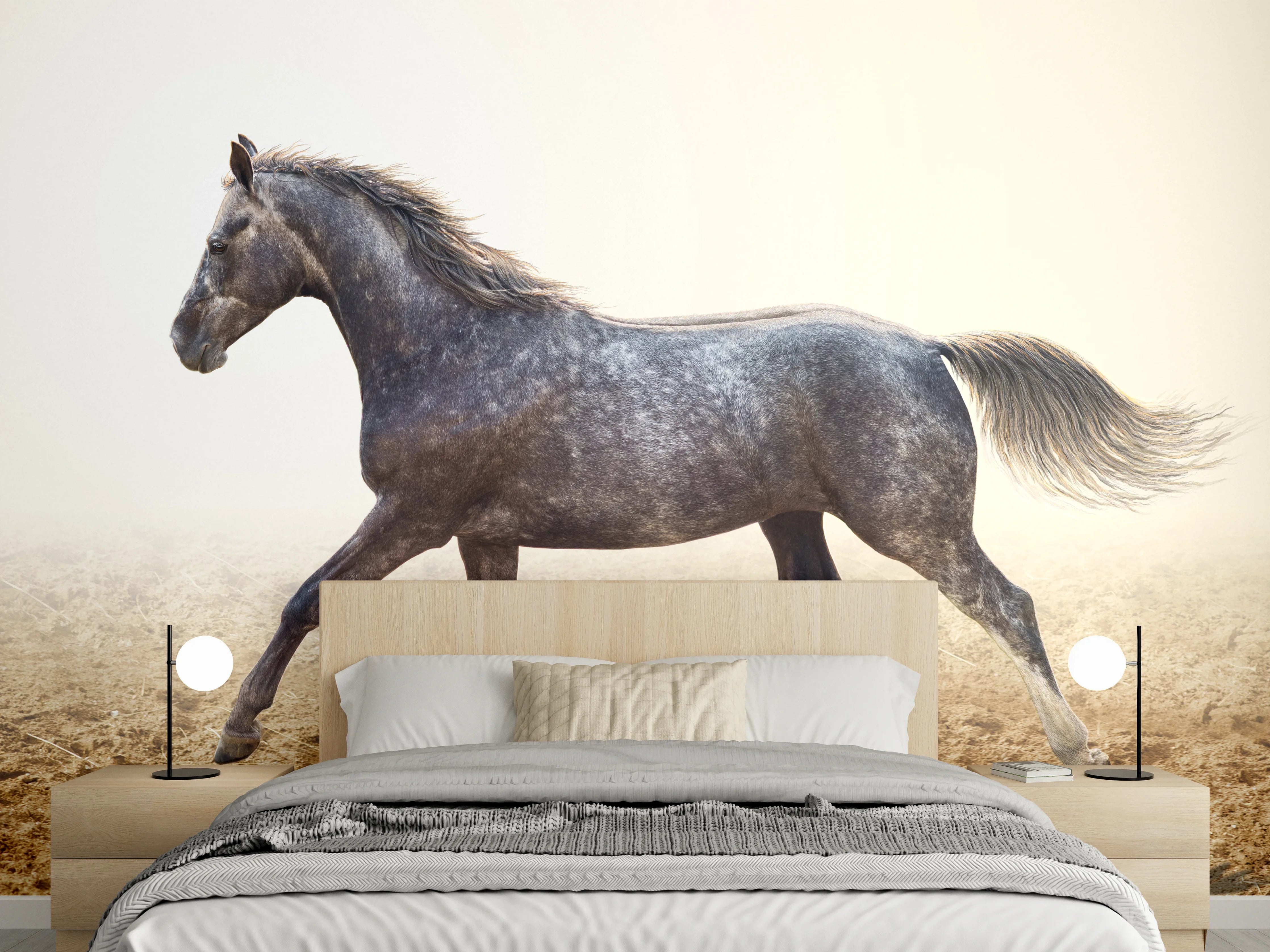 Wandverkleidung Schlafzimmer - Ein graues Pferd reitend auf einem Feld