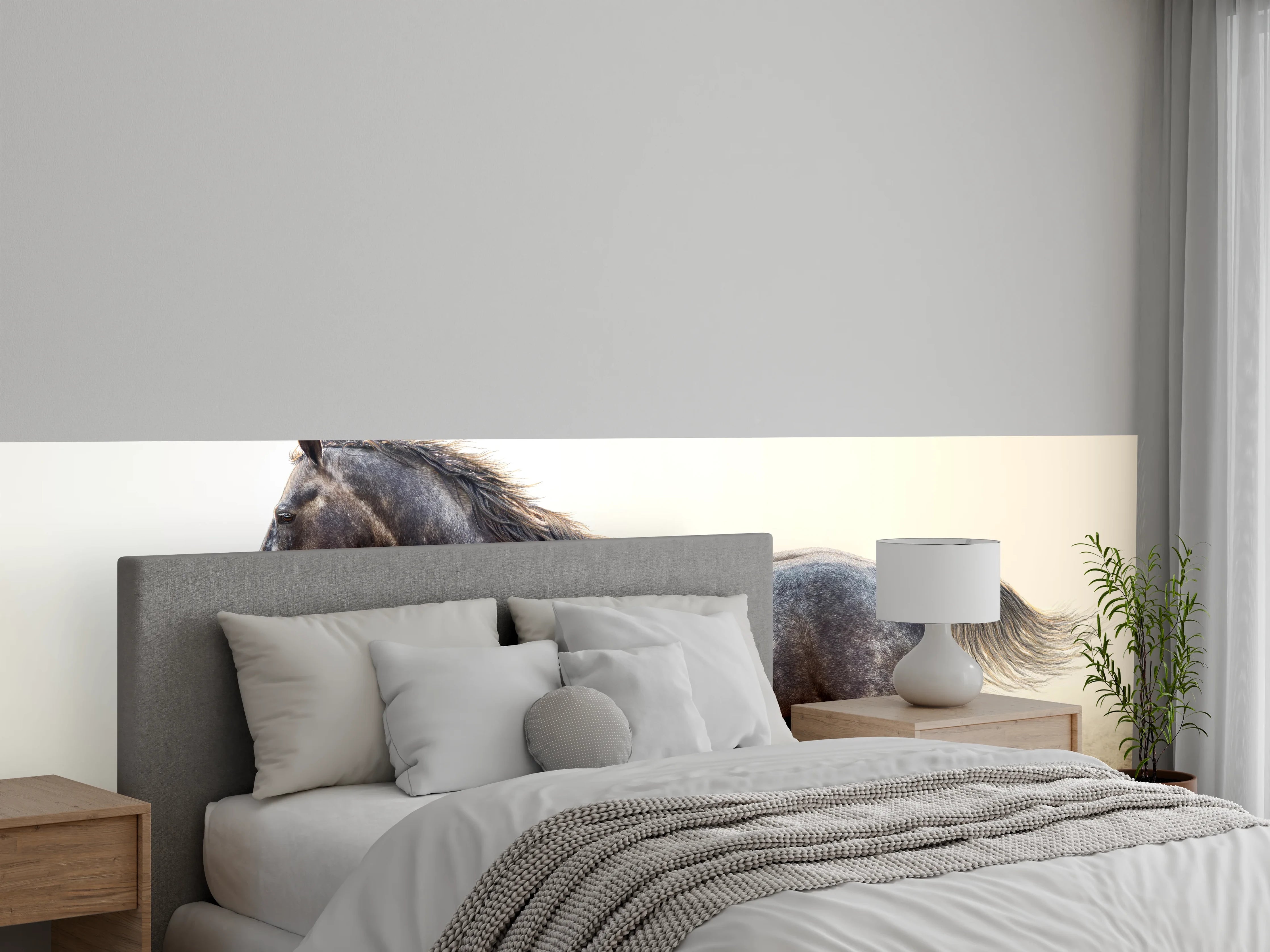 Wandverkleidung Schlafzimmer - Ein graues Pferd reitend auf einem Feld