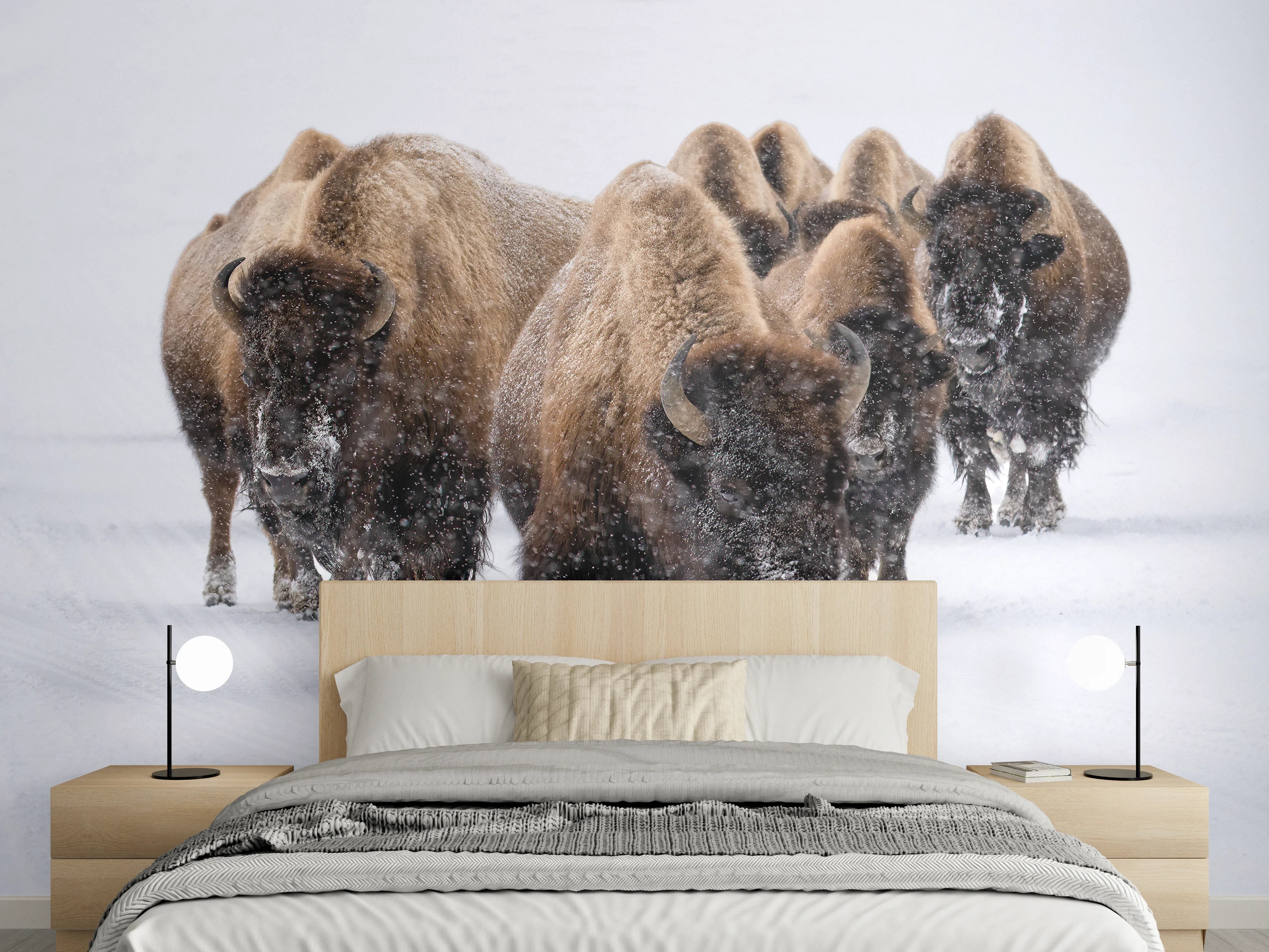 Wandverkleidung Schlafzimmer - Eine Bison Herde