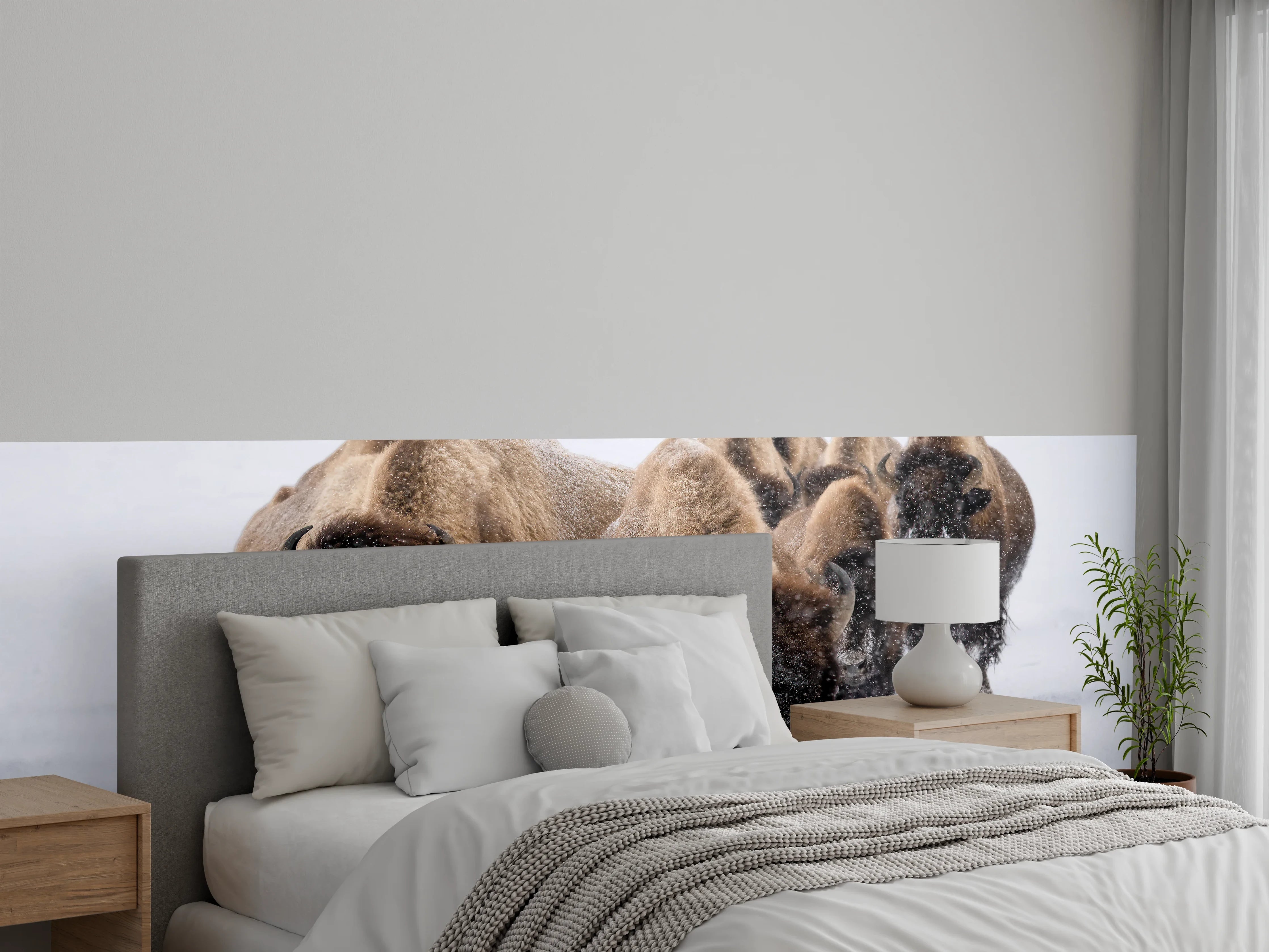 Wandverkleidung Schlafzimmer - Eine Bison Herde