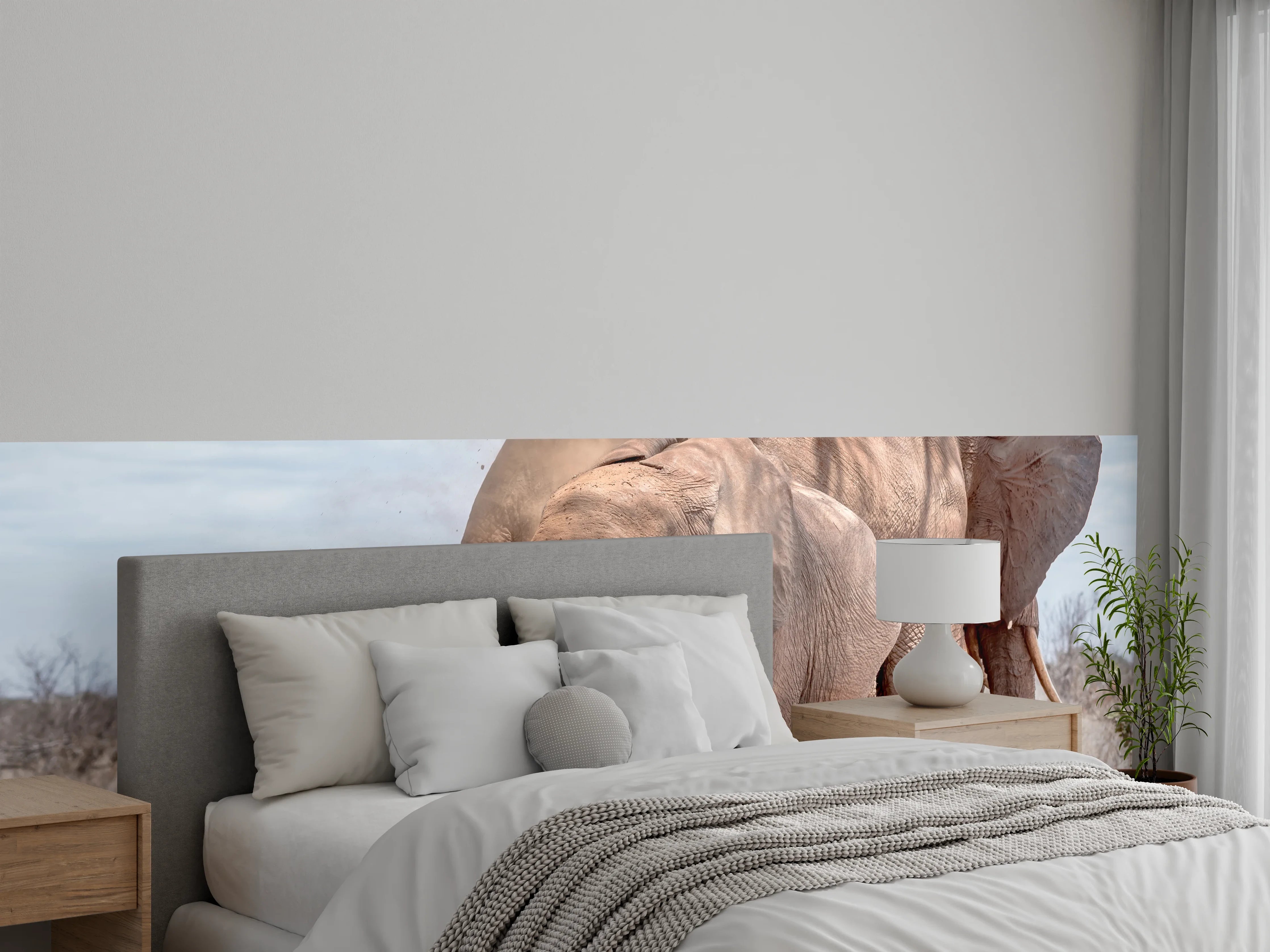 Wandverkleidung Schlafzimmer - Elefanten von Tsavo
