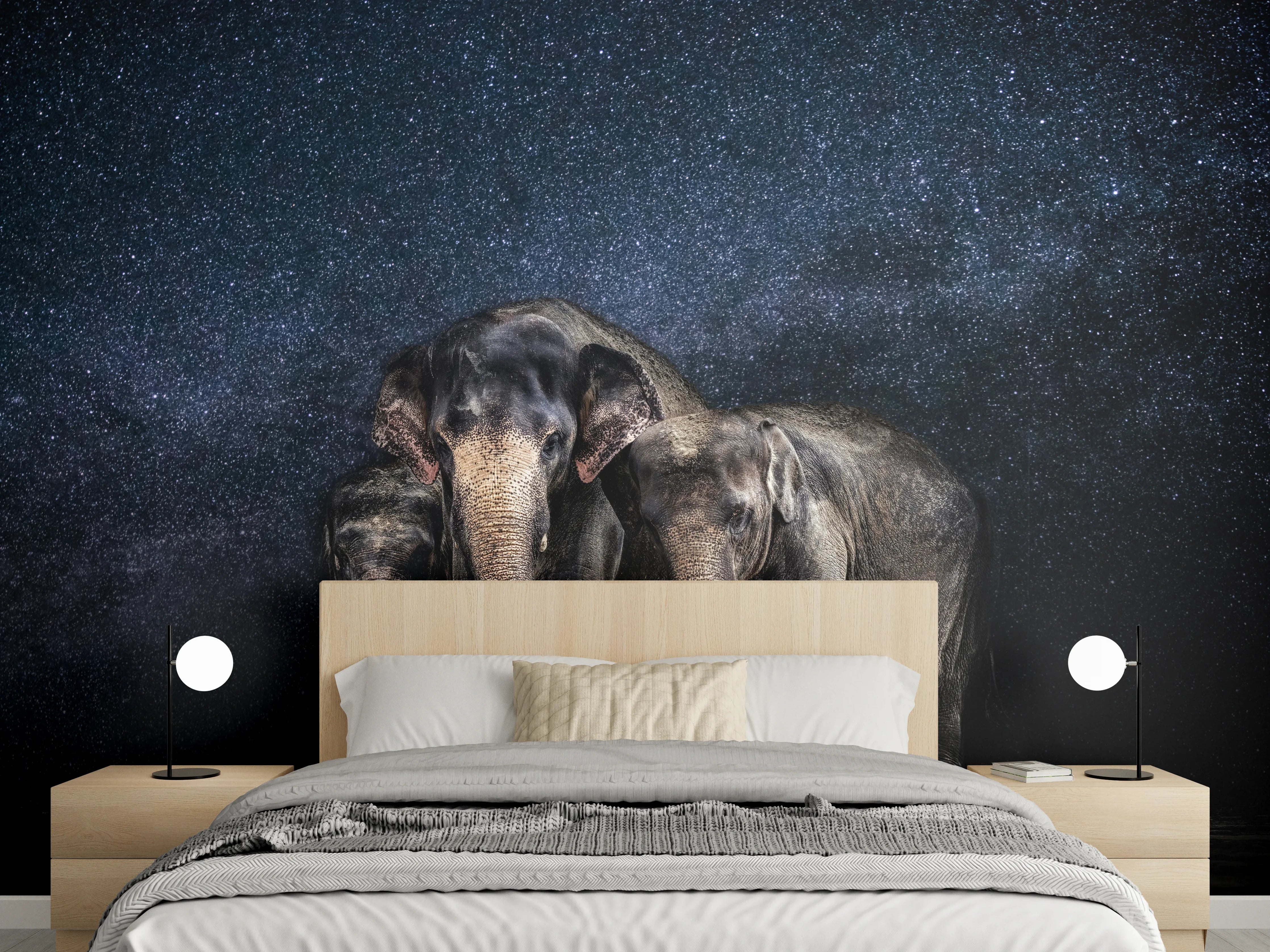 Wandverkleidung Schlafzimmer - Elefantenfamilie zwischen den Sternen