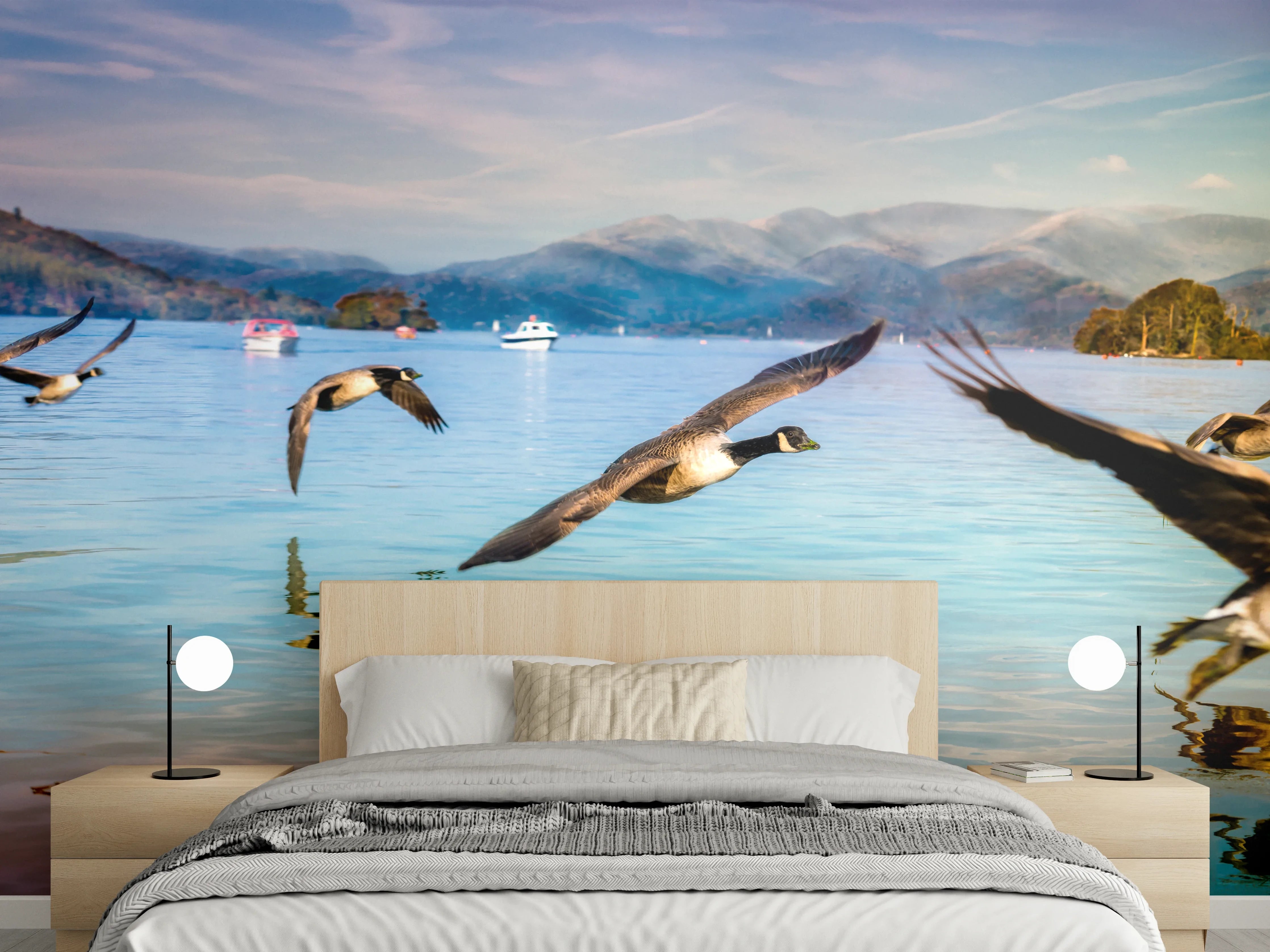 Wandverkleidung Schlafzimmer - Entenschwarm am Lake Windermere