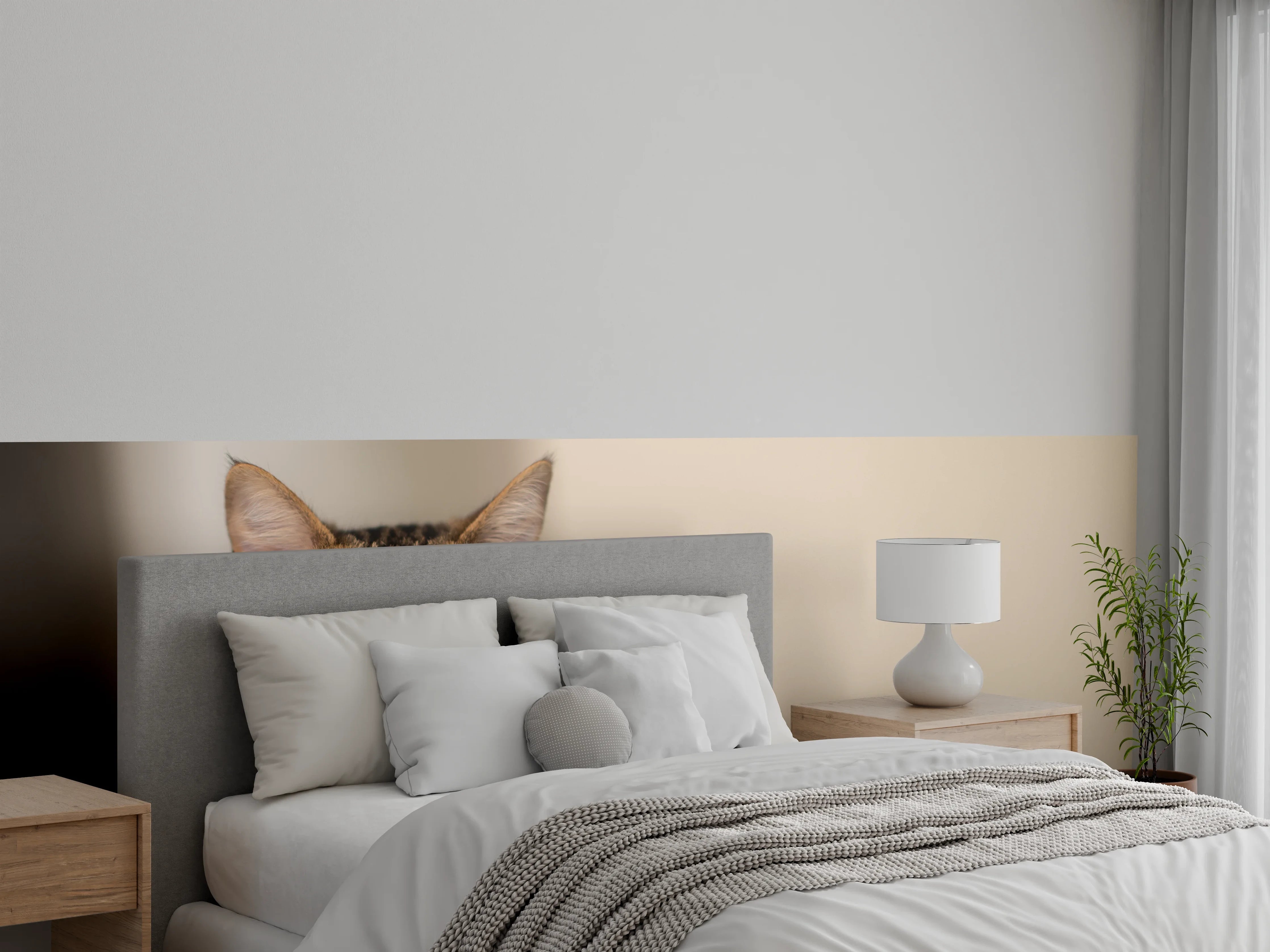 Wandverkleidung Schlafzimmer - Entspannte Hauskatze in Beige-Braun
