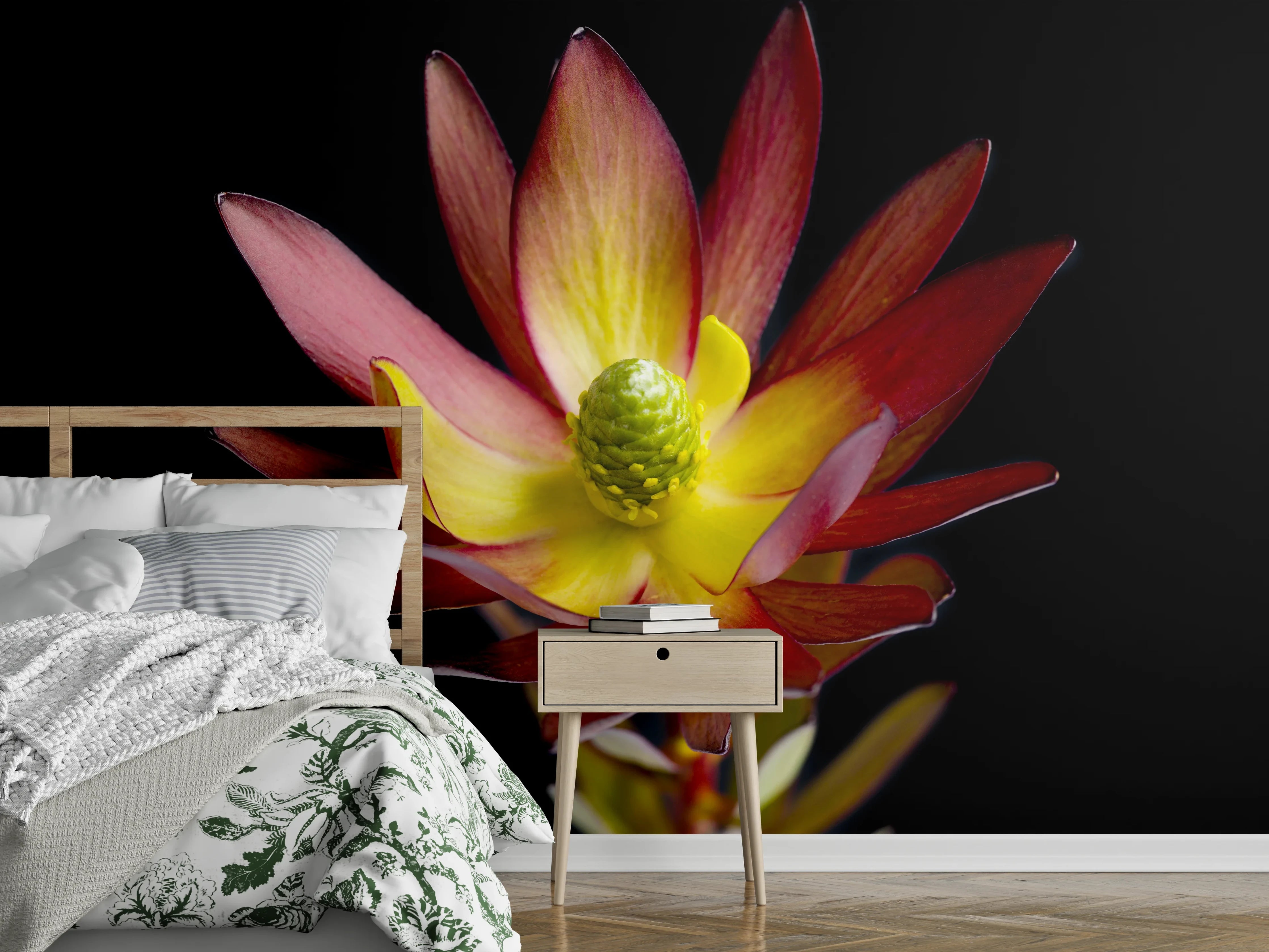 Wandverkleidung Schlafzimmer - Exotische Blüte in Rot-Gelb auf Schwarz
