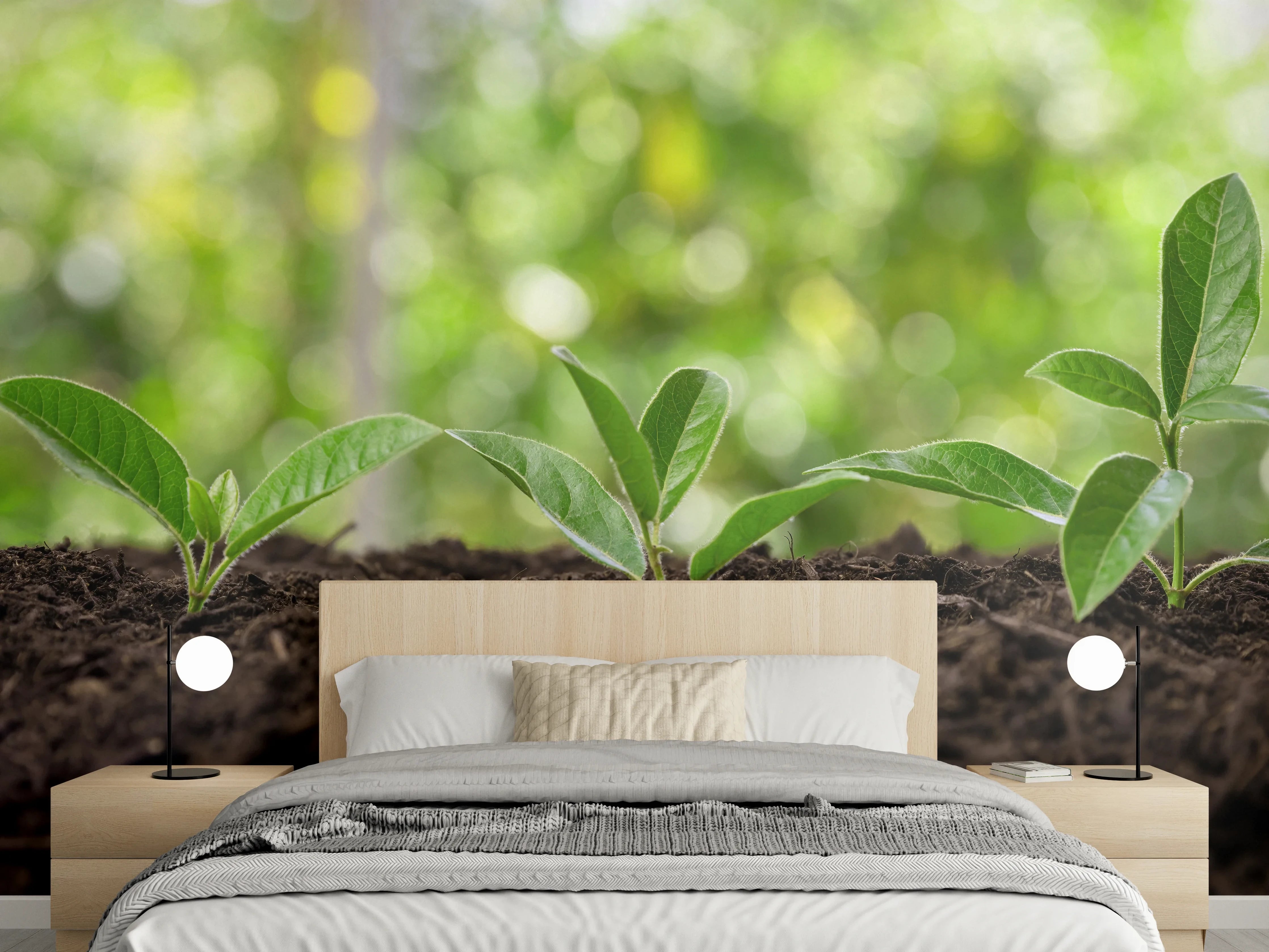 Wandverkleidung Schlafzimmer - Frische Keimlinge auf nährreichem Boden