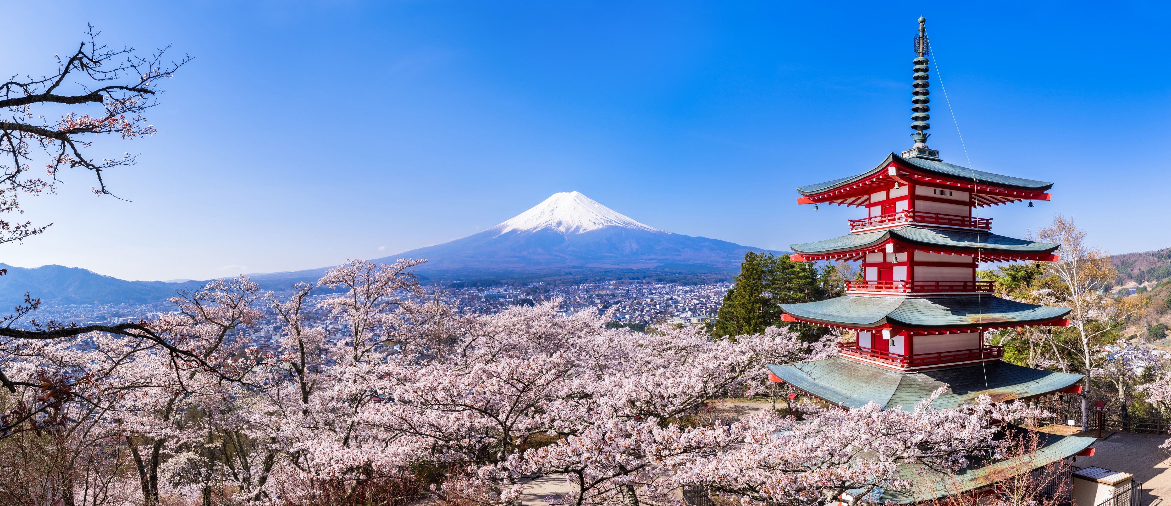 Wandverkleidung Schlafzimmer-Fuji und Pagode im Kirschblütenmeer