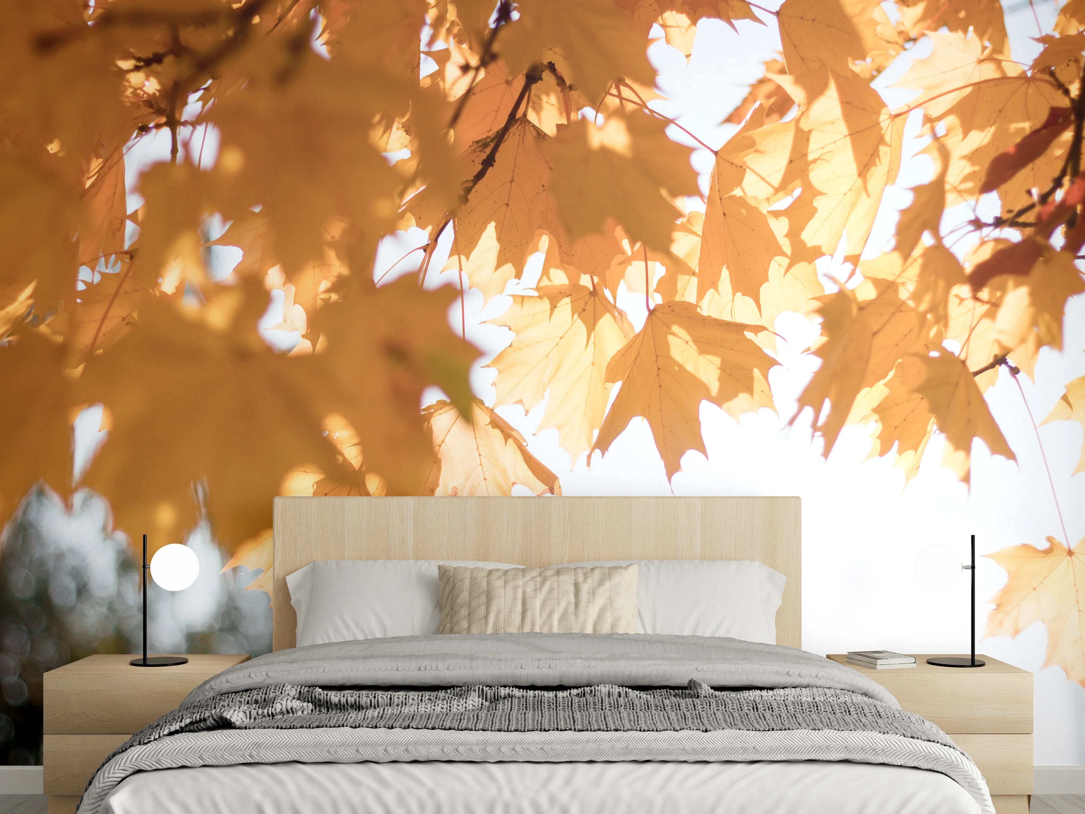 Wandverkleidung Schlafzimmer - Gelben Ahornblättern im Herbst