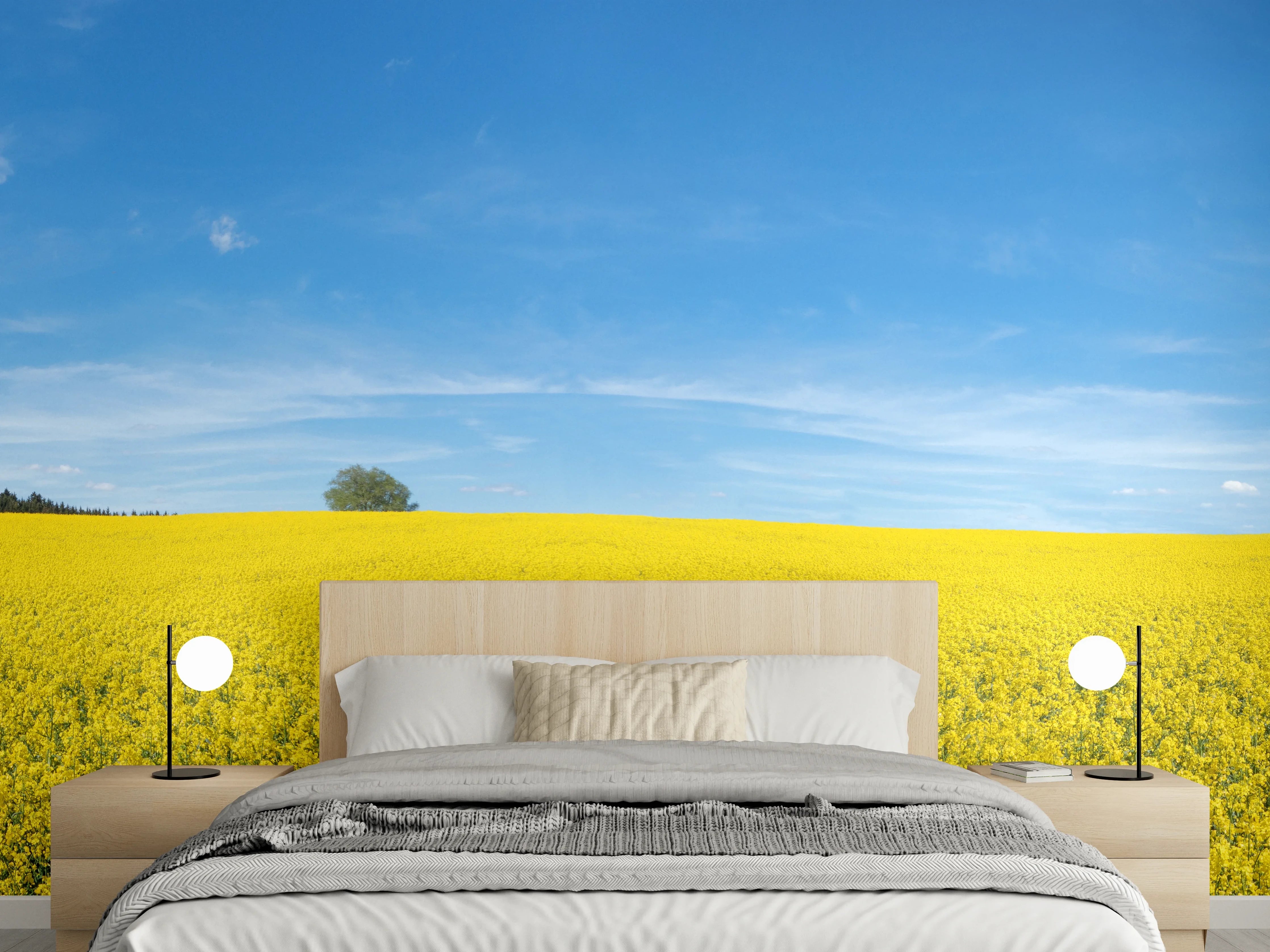 Wandverkleidung Schlafzimmer - Gelbes Rapsfeld blauer Himmel