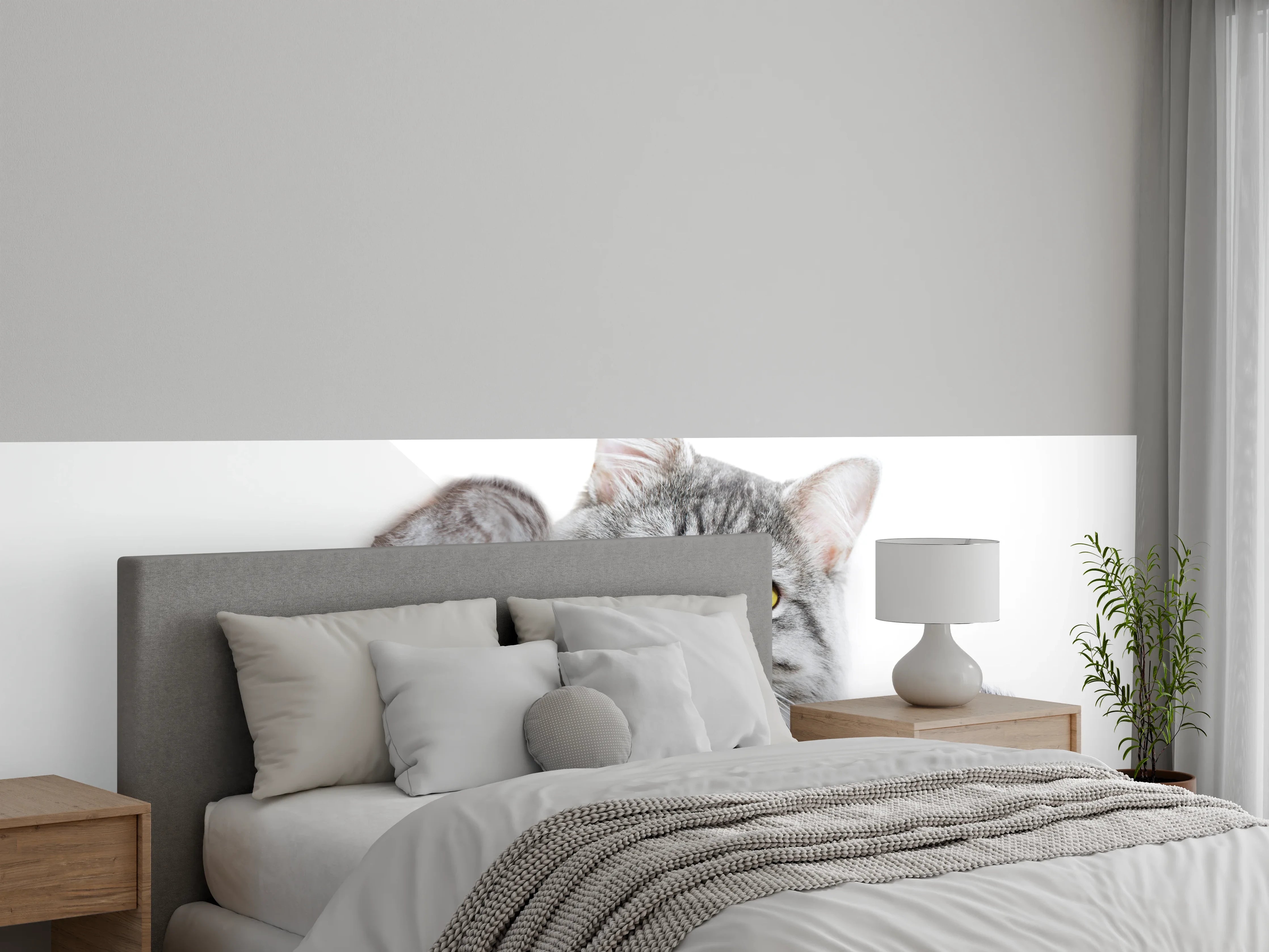 Wandverkleidung Schlafzimmer - Getigertes Kätzchen