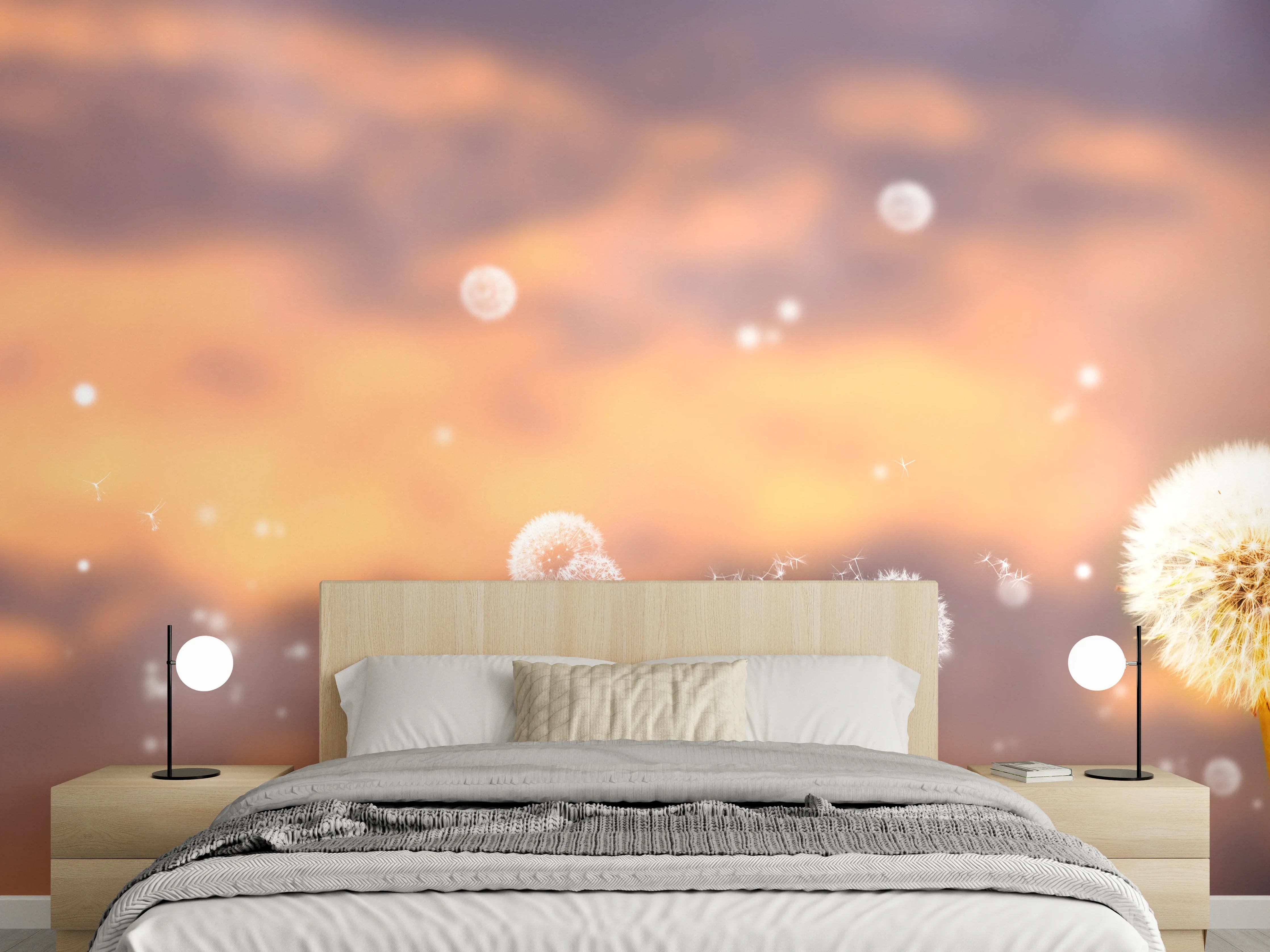 Wandverkleidung Schlafzimmer - Graue Pusteblume im Abendlicht