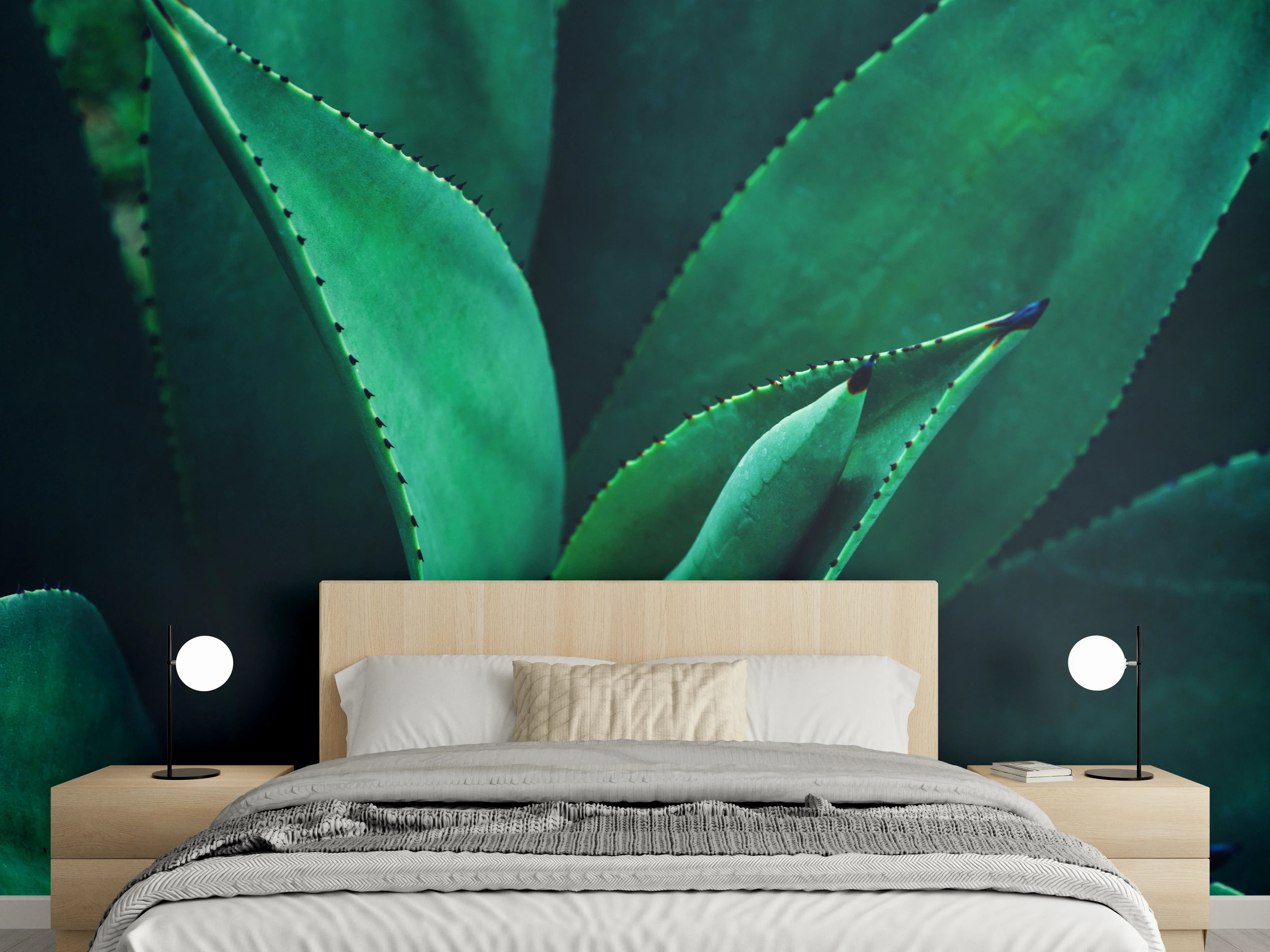 Wandverkleidung Schlafzimmer - Graugrüne Agavenblätter im Licht