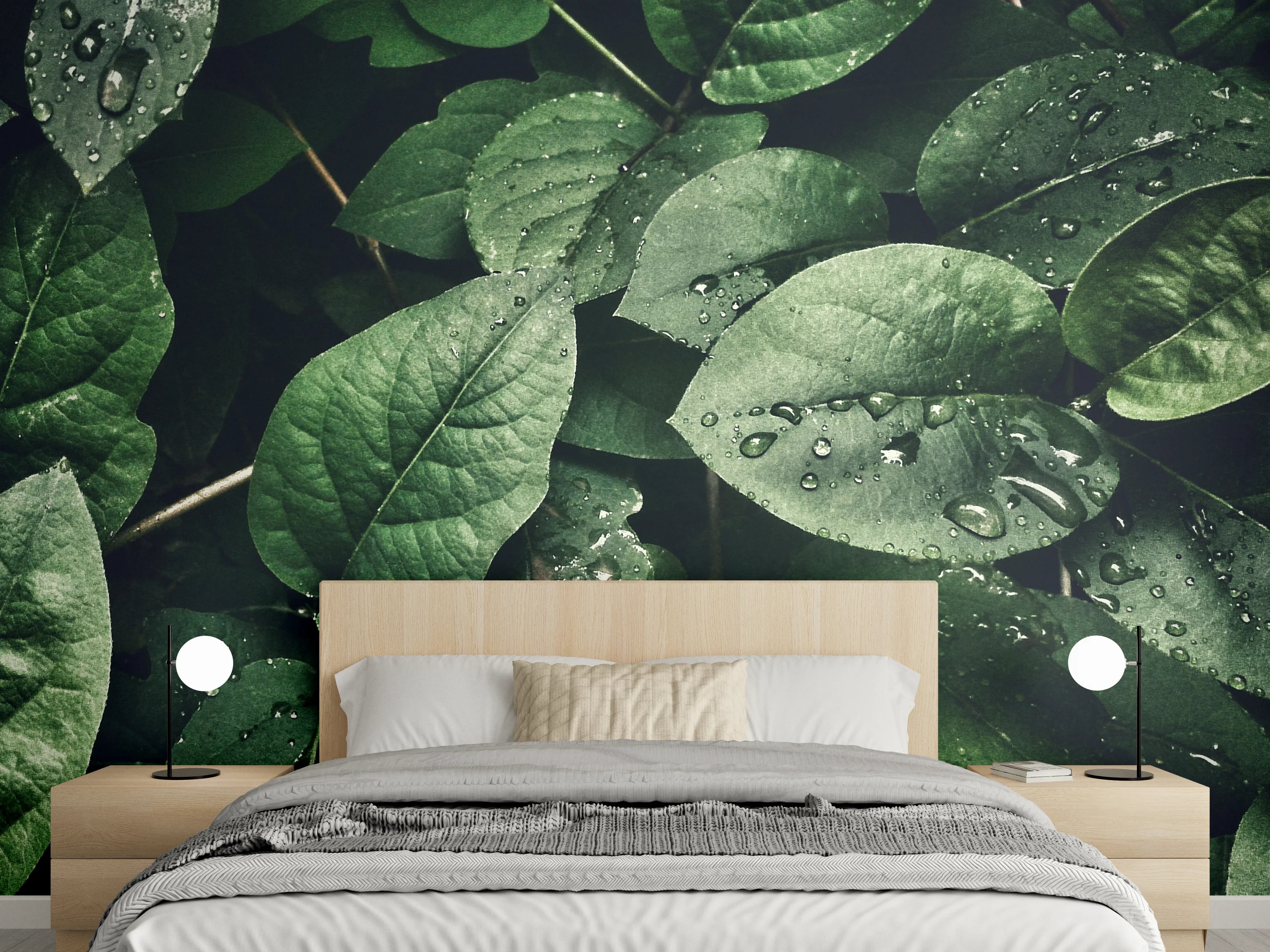 Wandverkleidung Schlafzimmer - Grüne Blätter mit Wassertropfen Nahaufnahme