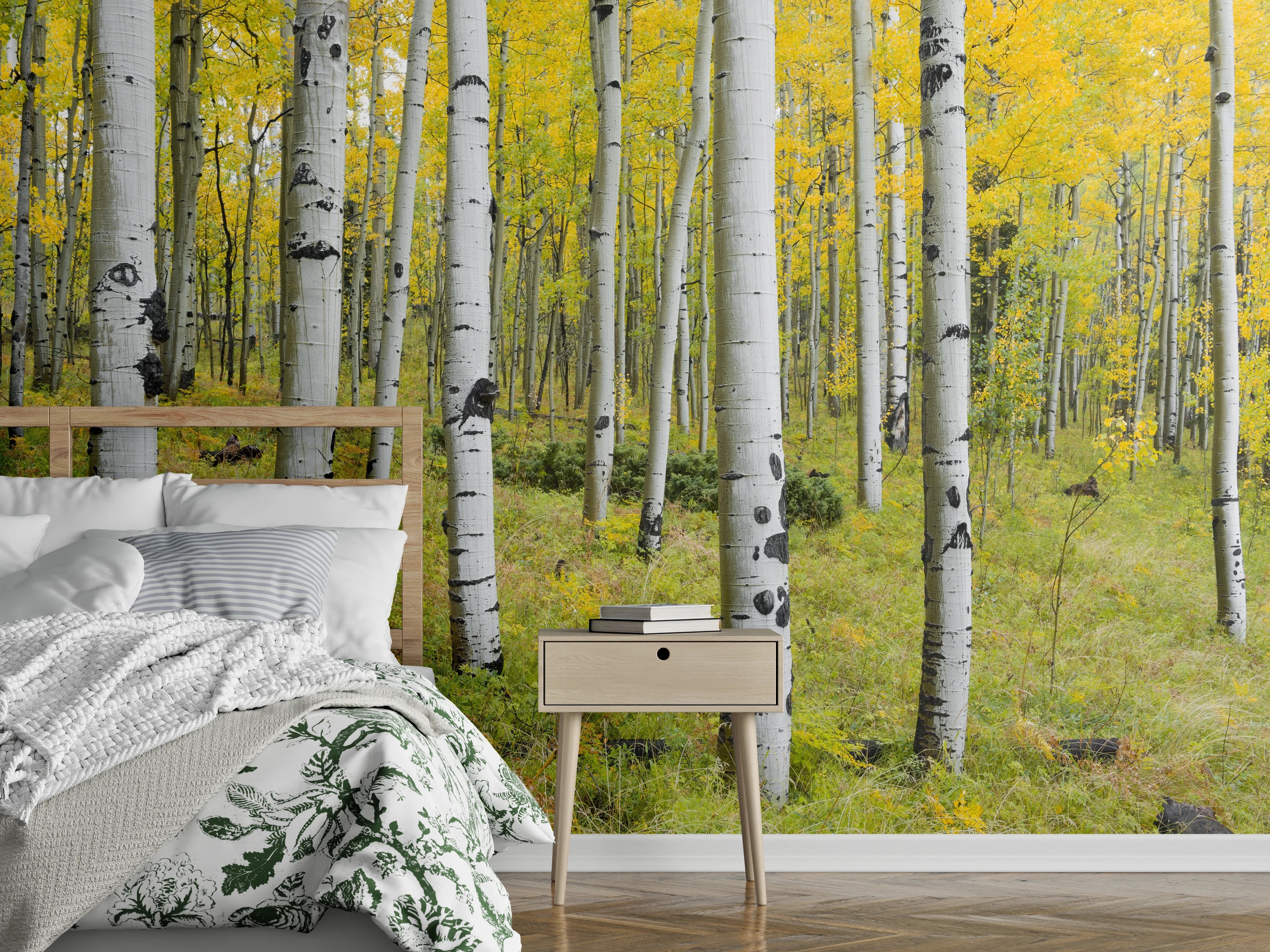 Wandverkleidung Schlafzimmer - Heller Birkenwald Naturfotografie