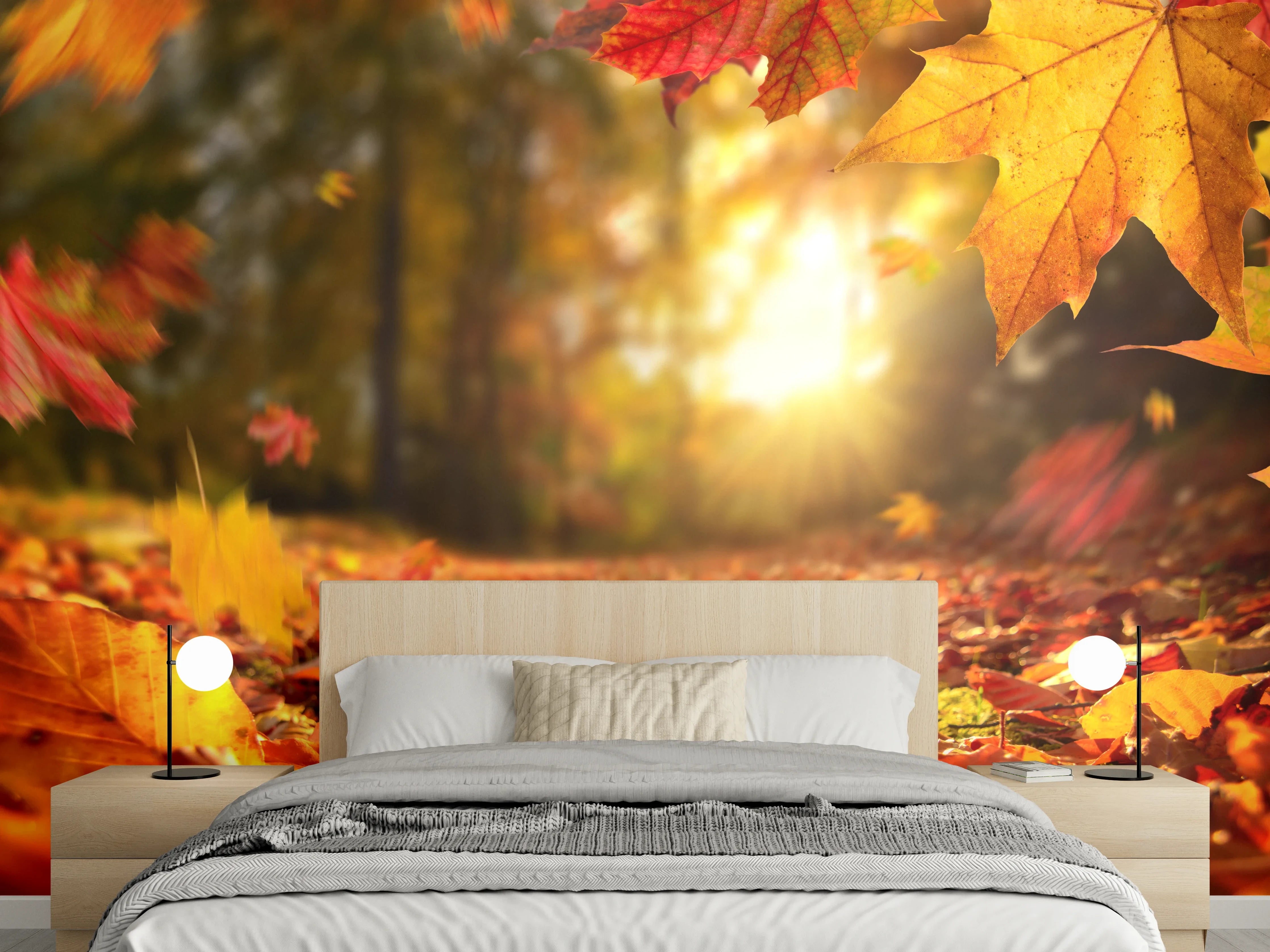 Wandverkleidung Schlafzimmer - Herbstlaub im Sonnenlicht Wandbild