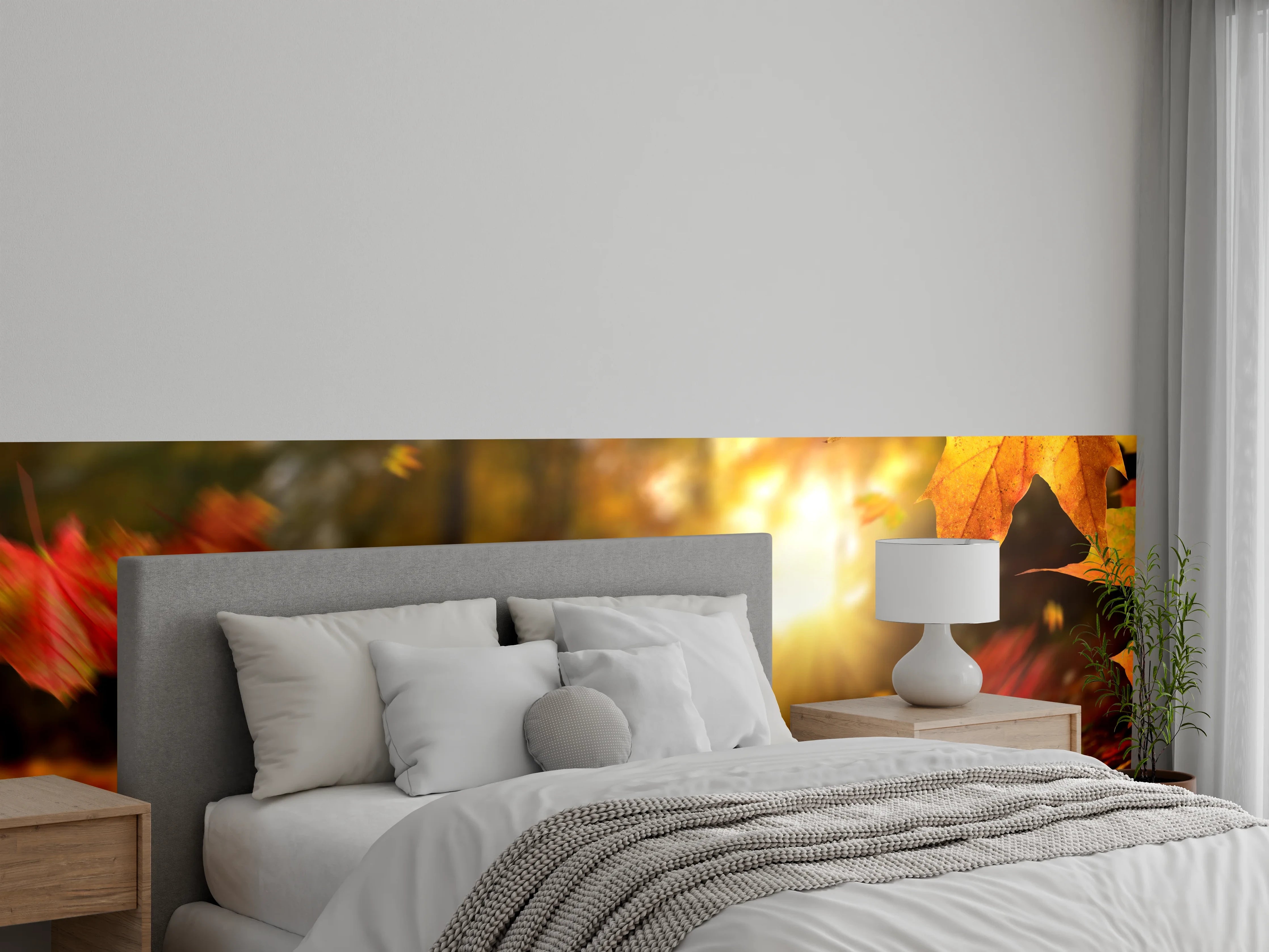 Wandverkleidung Schlafzimmer - Herbstlaub im Sonnenlicht Wandbild