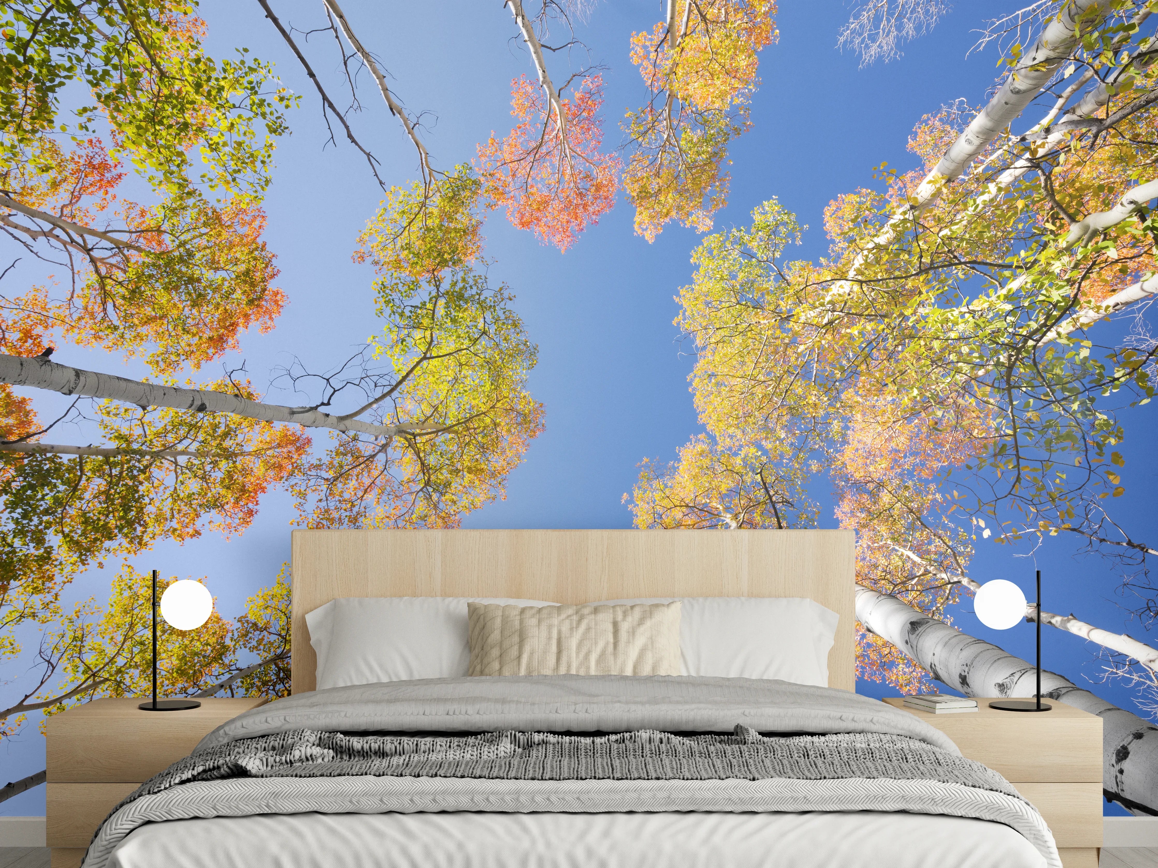 Wandverkleidung Schlafzimmer - Herbstliche Baumkronen unter blauem Himmel