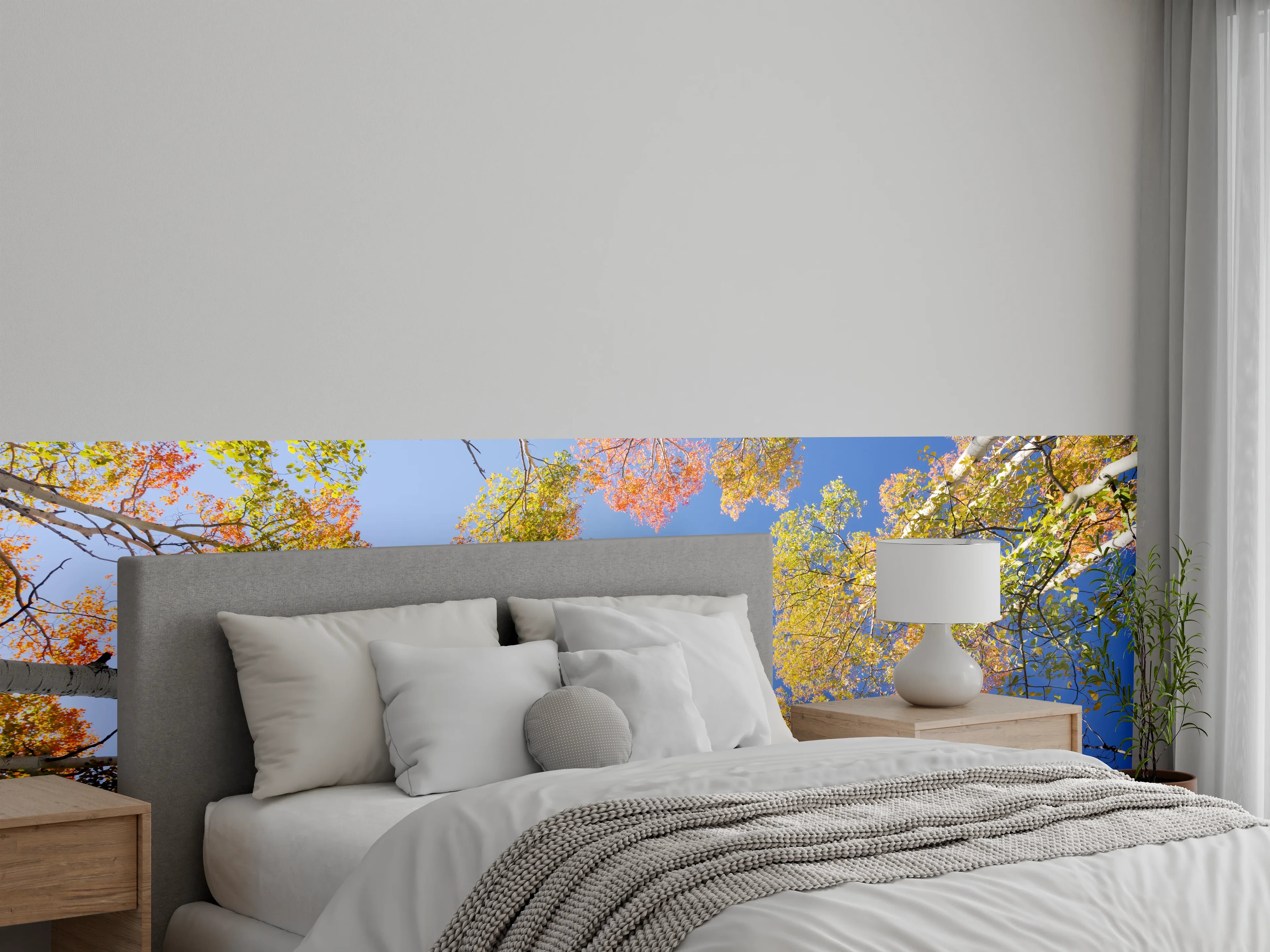Wandverkleidung Schlafzimmer - Herbstliche Baumkronen unter blauem Himmel