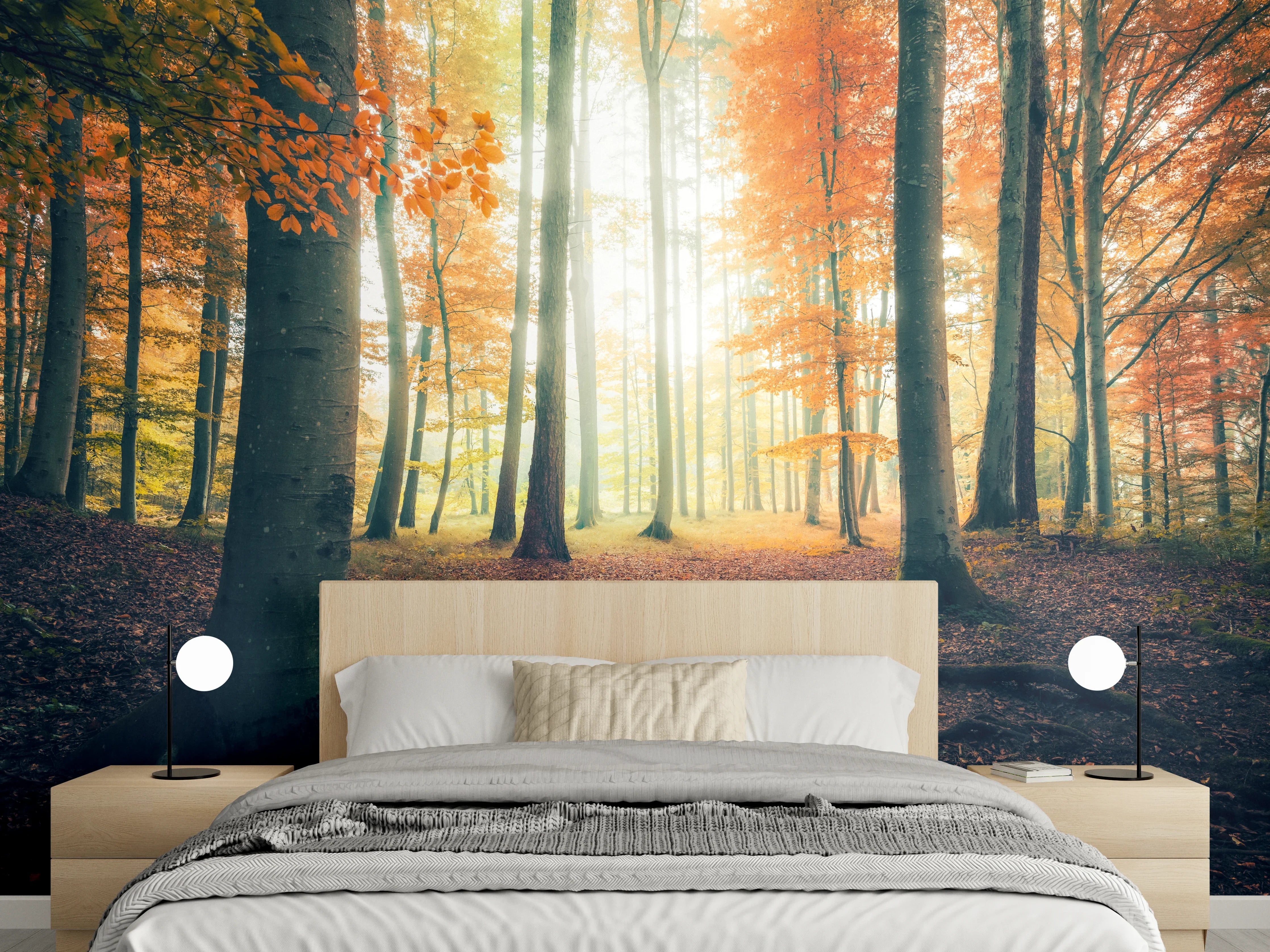 Wandverkleidung Schlafzimmer - Herbstlicher Wald im Sonnenlicht