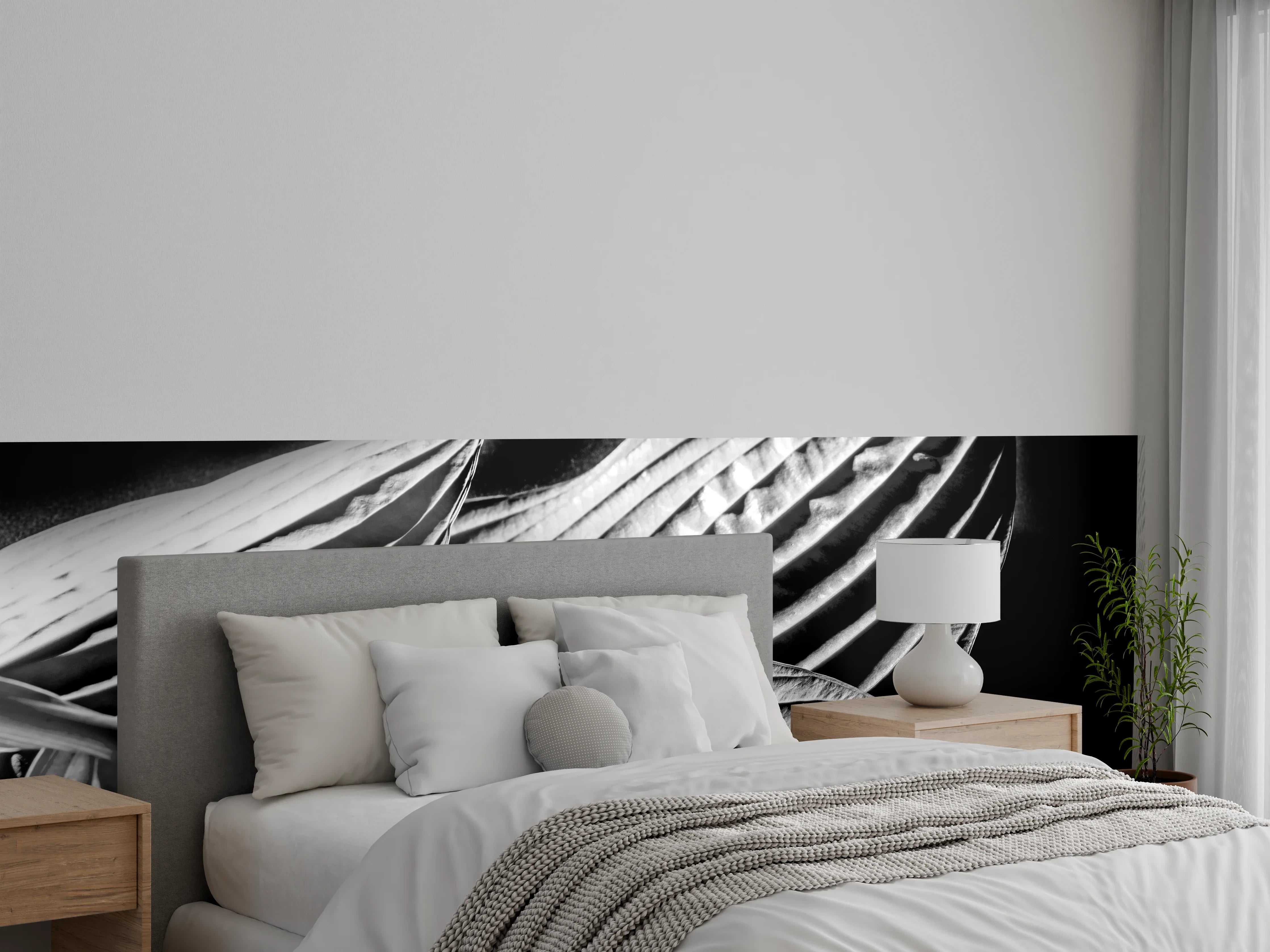 Wandverkleidung Schlafzimmer - Hosta-Blätter Schwarz-Weiß Kunstfoto
