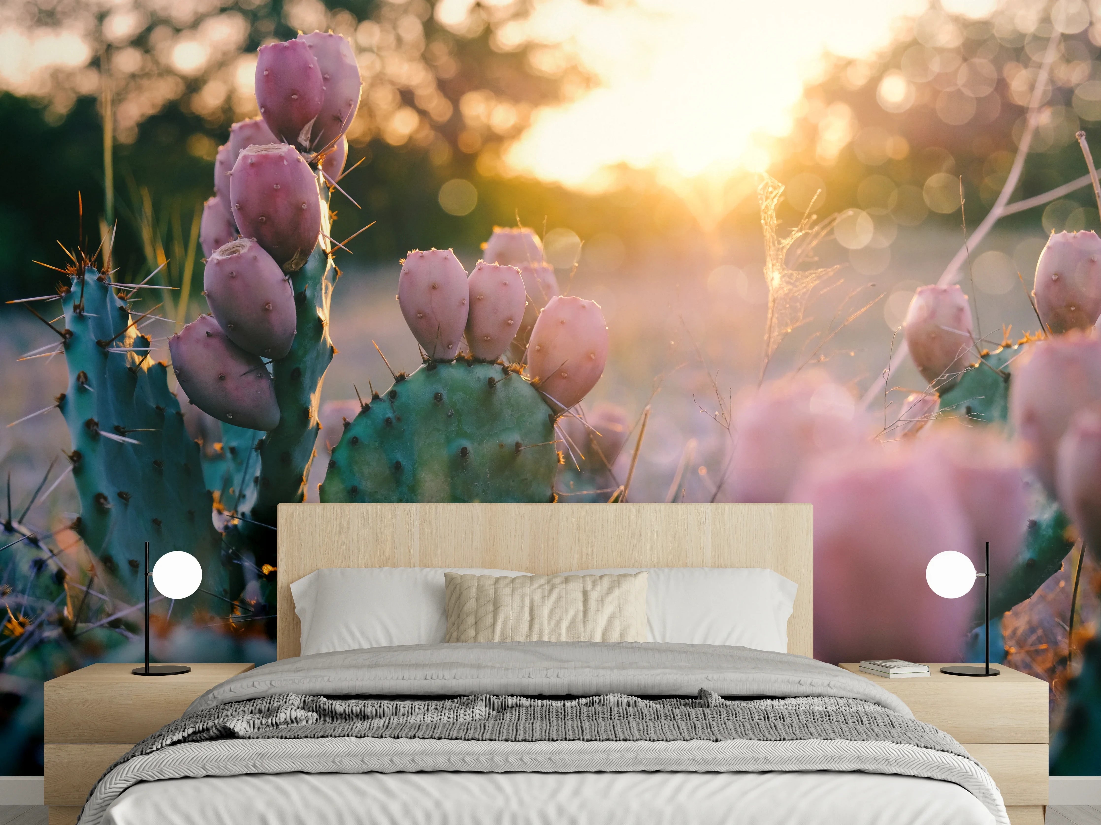 Wandverkleidung Schlafzimmer - Kaktus im Sonnenuntergang – Naturbild