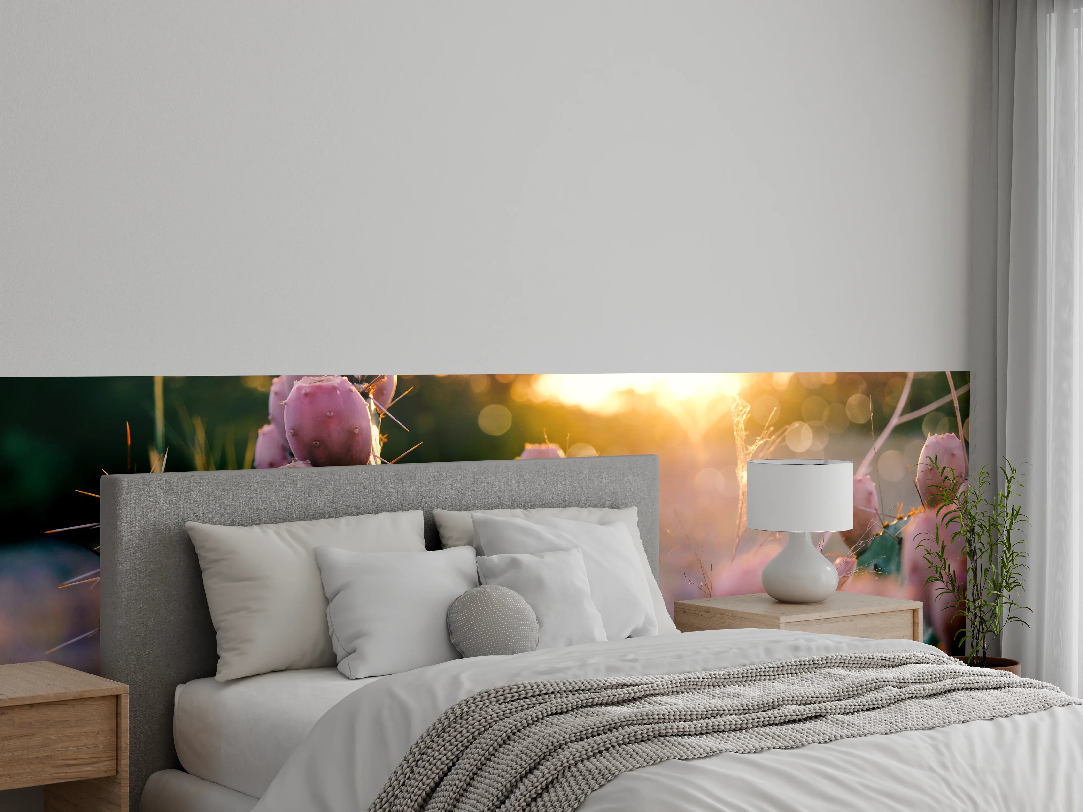Wandverkleidung Schlafzimmer - Kaktus im Sonnenuntergang – Naturbild