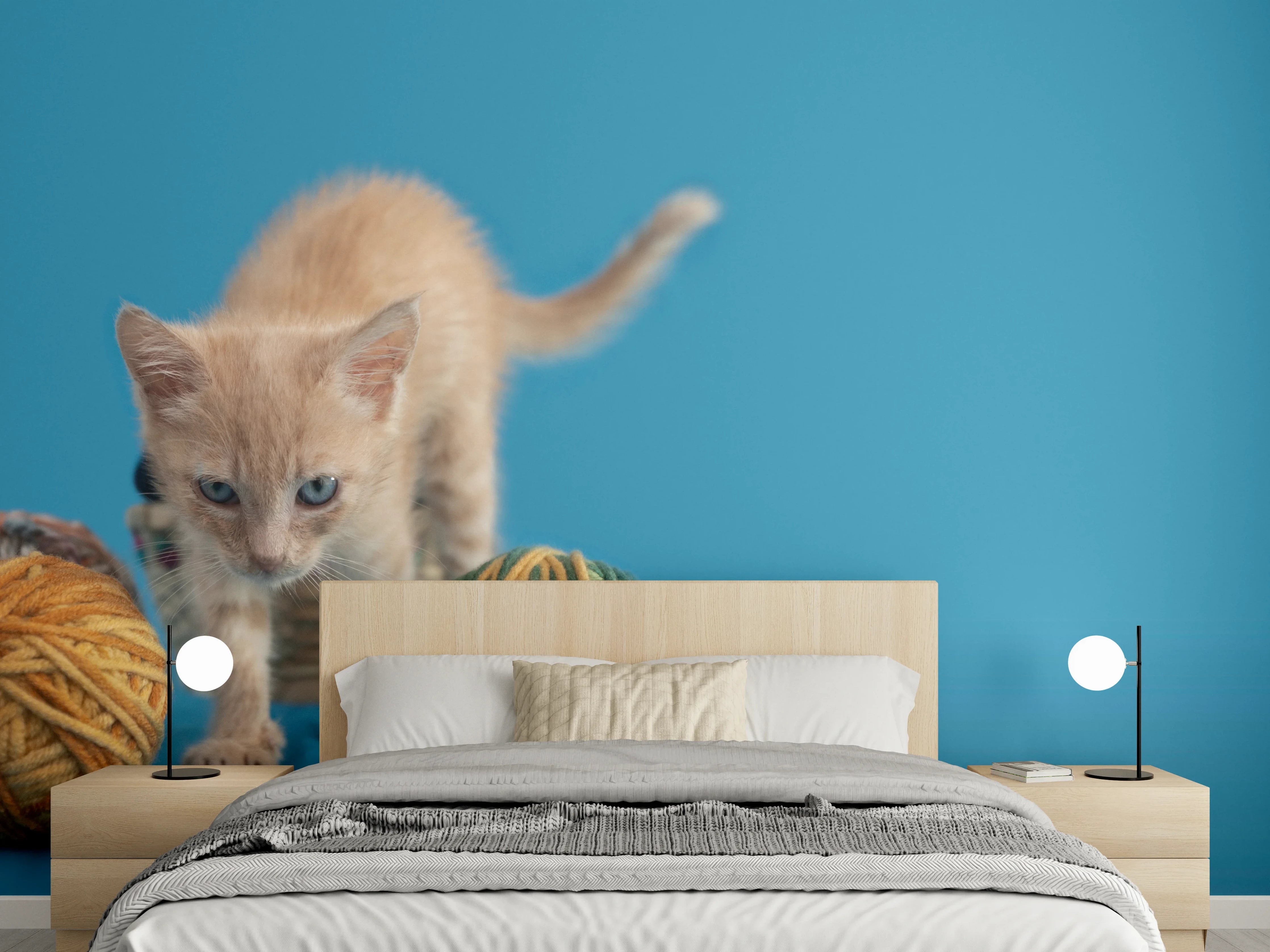 Wandverkleidung Schlafzimmer - Katzenbaby spielt mit Wollknollen