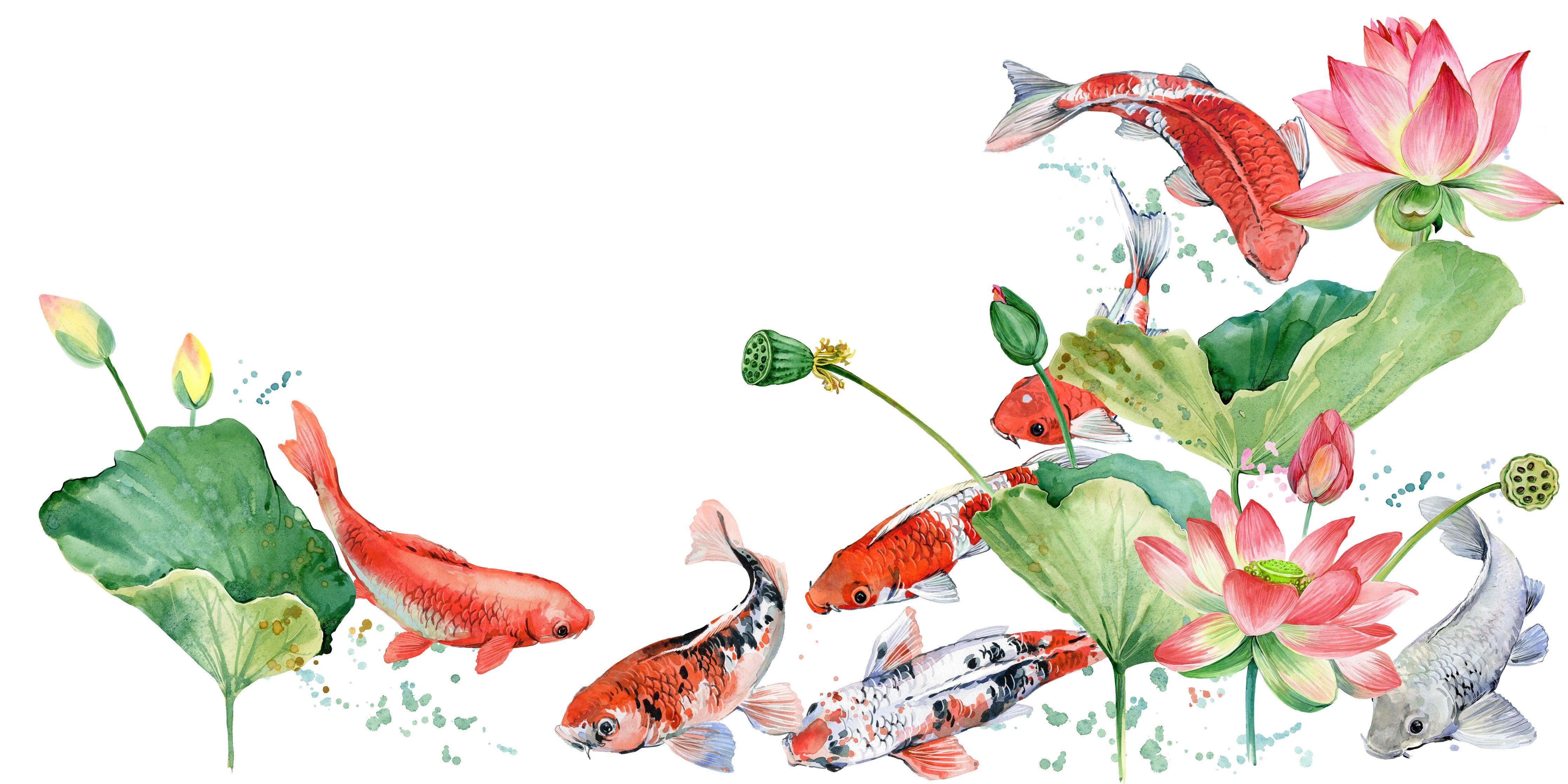Wandverkleidung Schlafzimmer-Koi und Lotus Aquarell Kunst