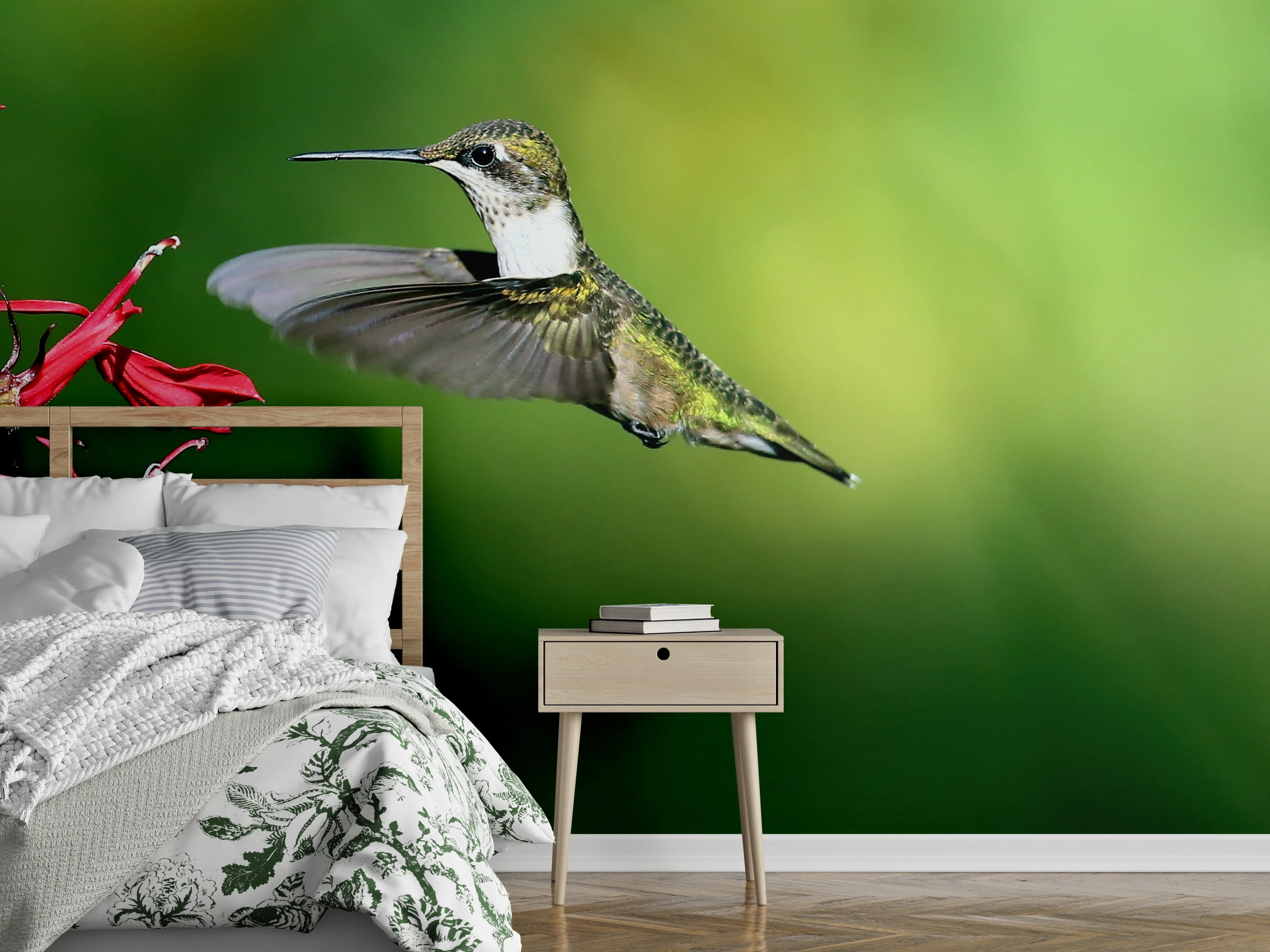 Wandverkleidung Schlafzimmer - Kolibri-Weibchen im Flug