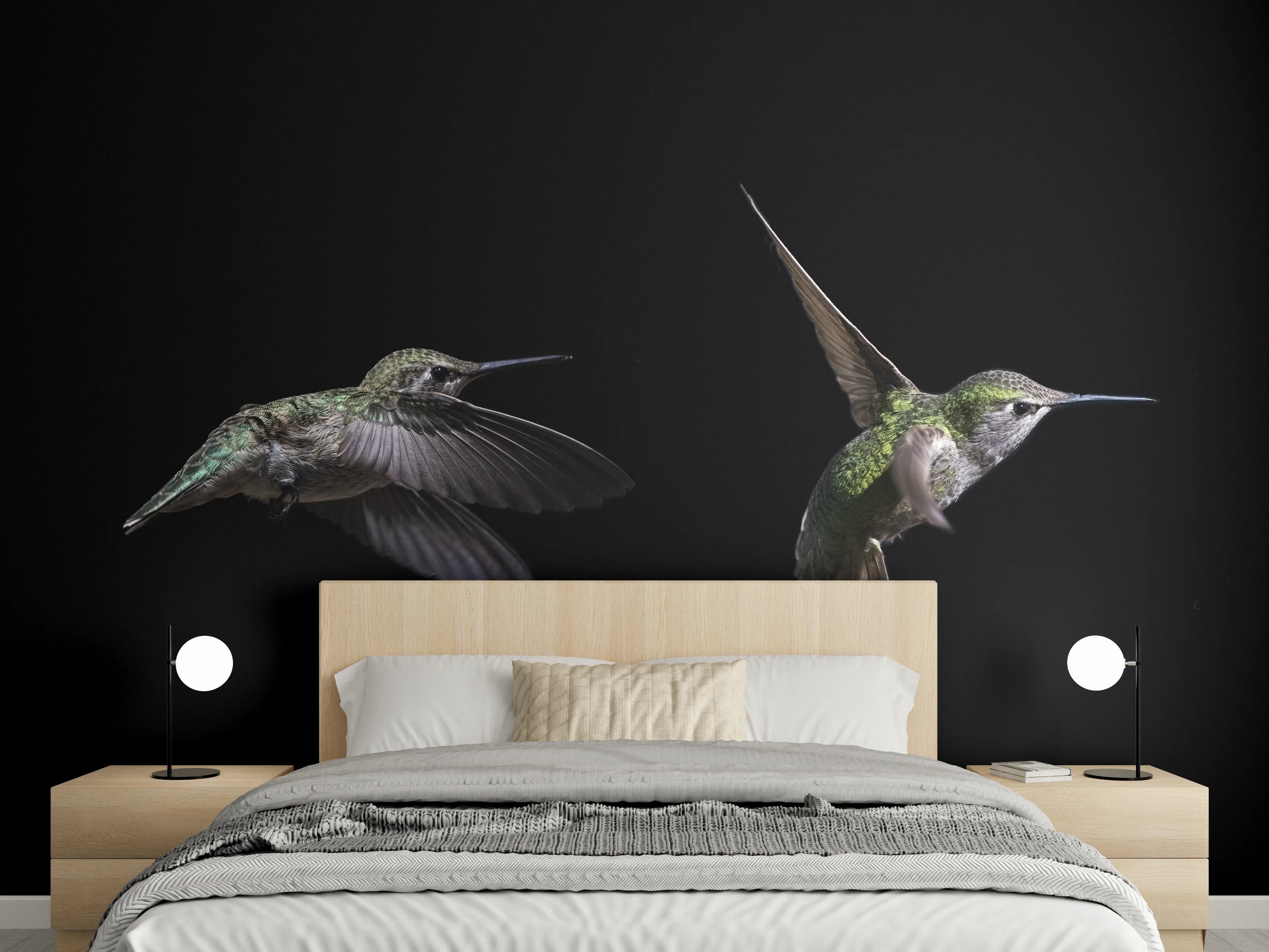 Wandverkleidung Schlafzimmer - Kolibri beim Fressen der Aloe Vera-Blüte