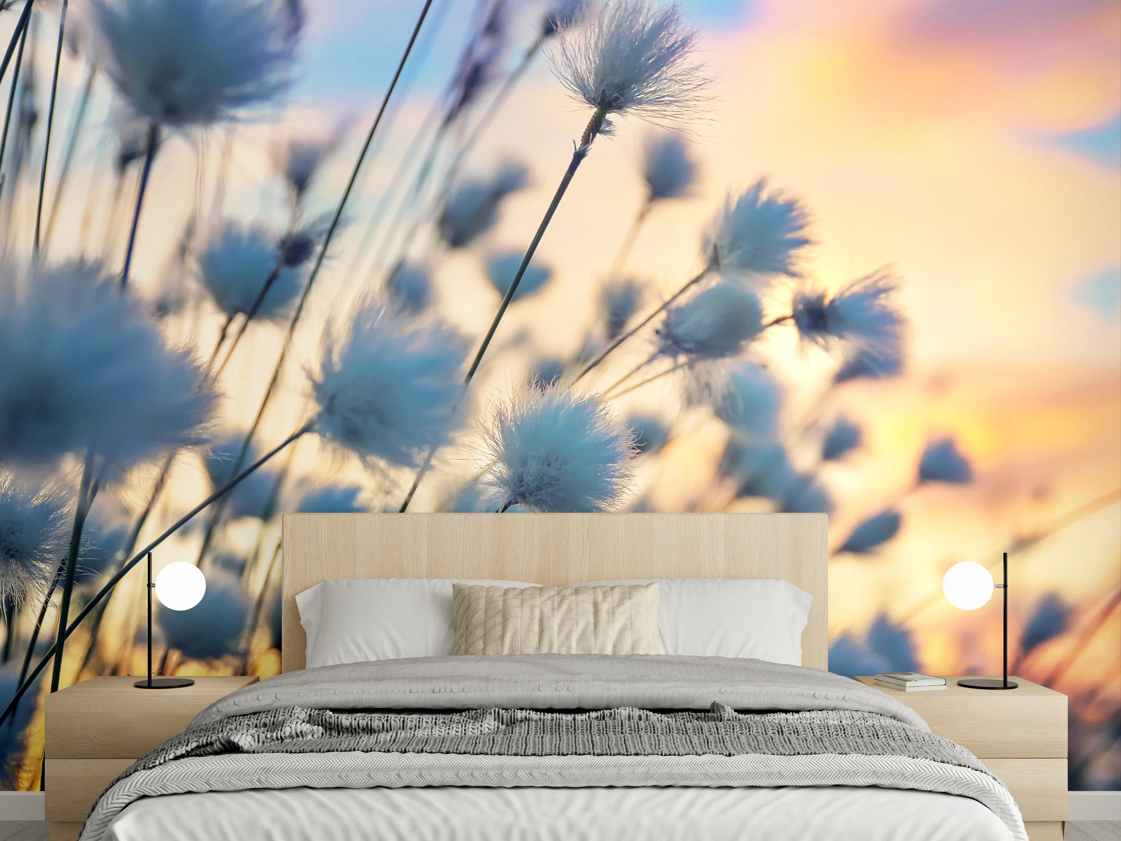 Wandverkleidung Schlafzimmer - Kuschelige Wollgraswiese im Sonnenuntergang