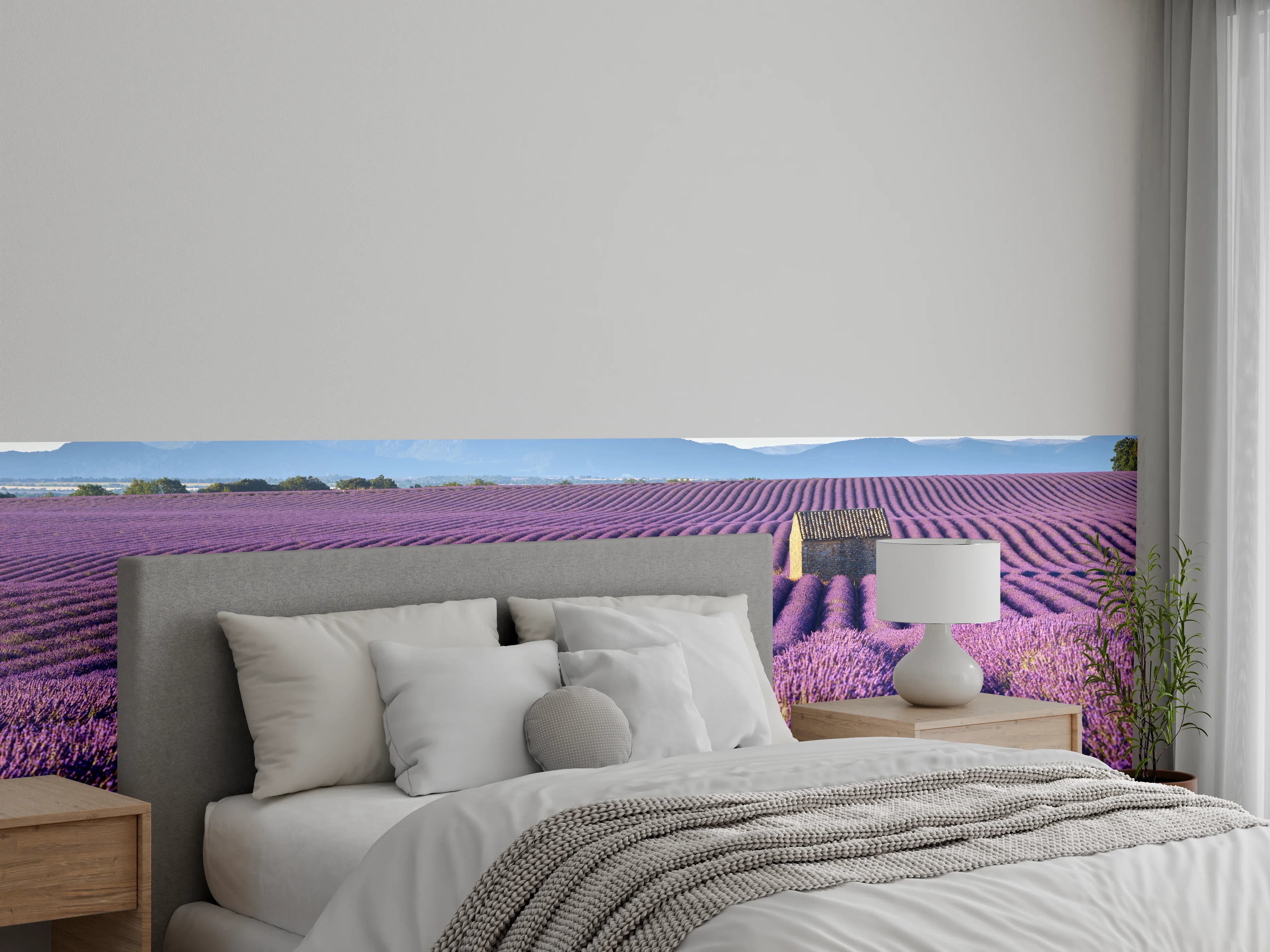 Wandverkleidung Schlafzimmer - Lavendelfeld Panorama Provence