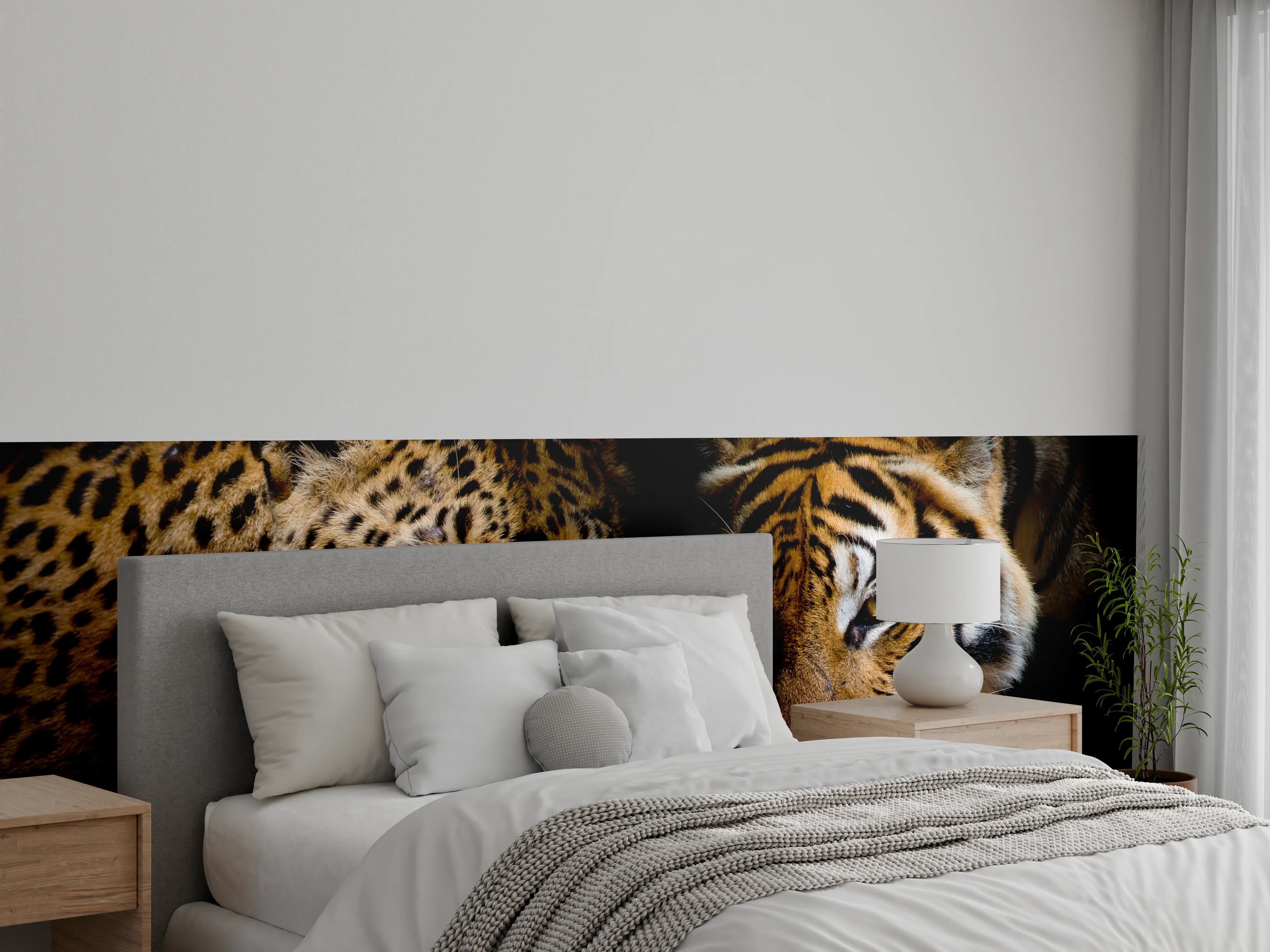 Wandverkleidung Schlafzimmer - Leopard und Tiger isoliert auf schwarzen Hintergrund