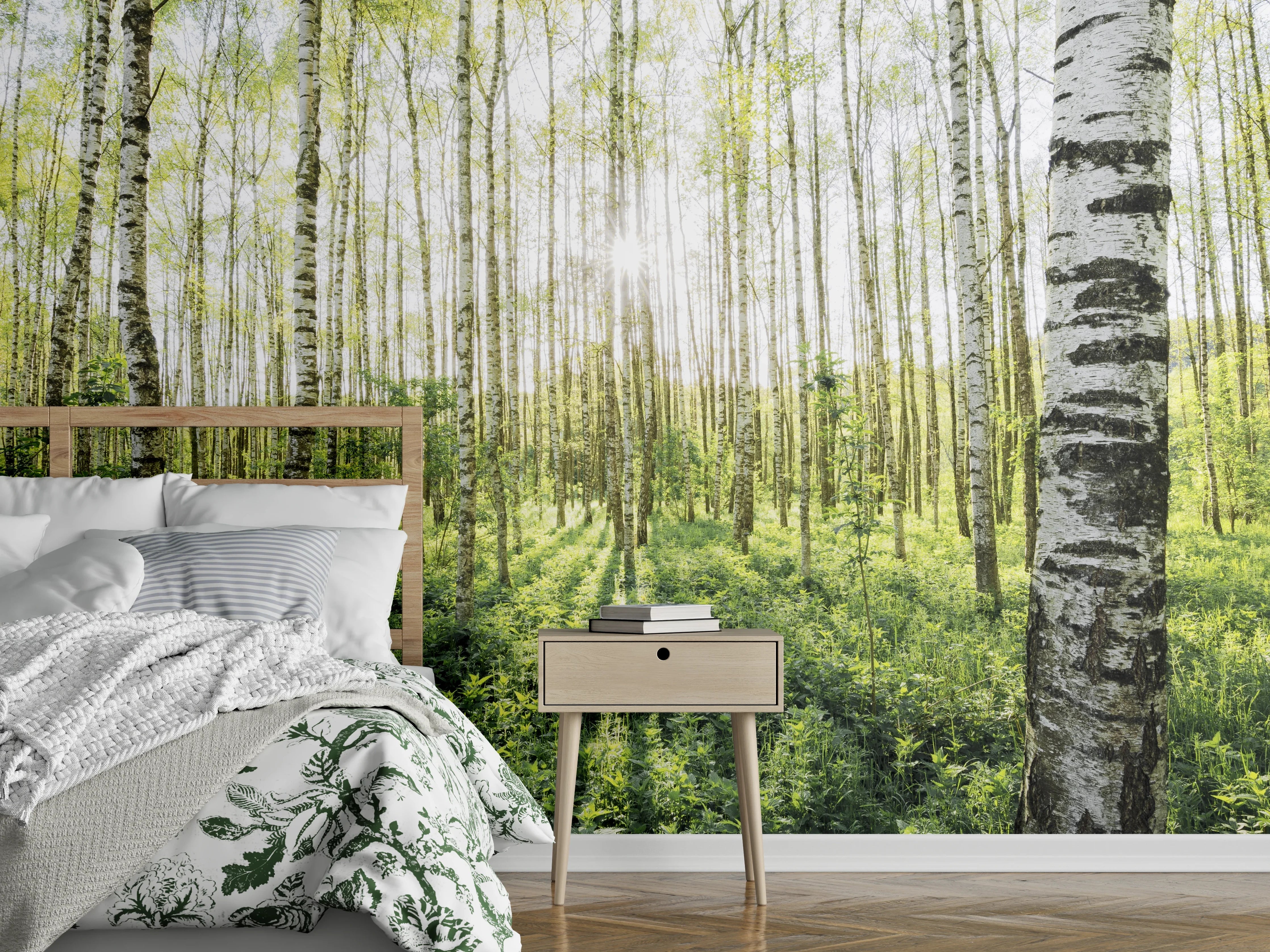 Wandverkleidung Schlafzimmer - Lichtdurchfluteter Birkenwald Fototapete