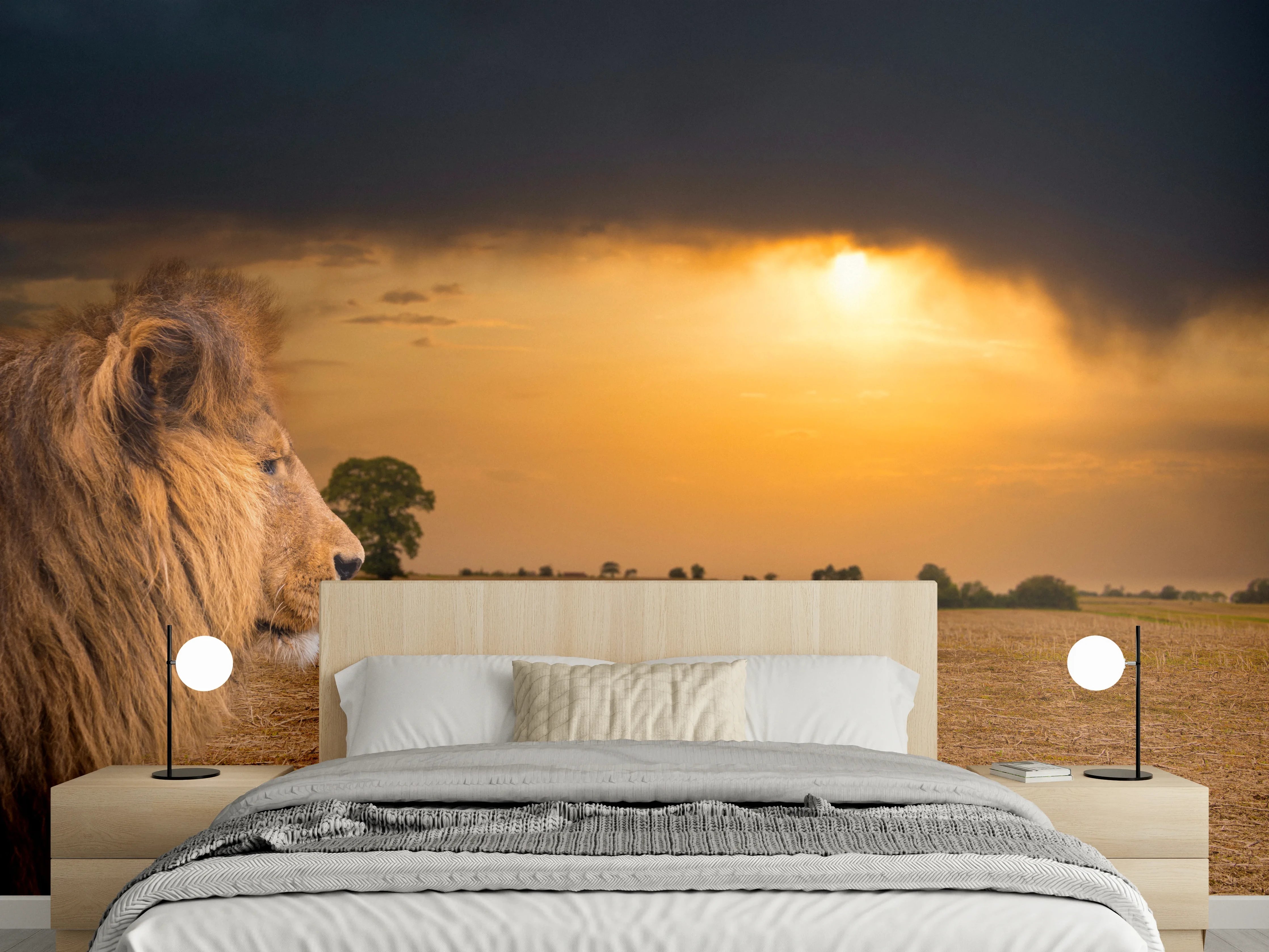 Wandverkleidung Schlafzimmer - Löwe in Steppe im Sonnenuntergang