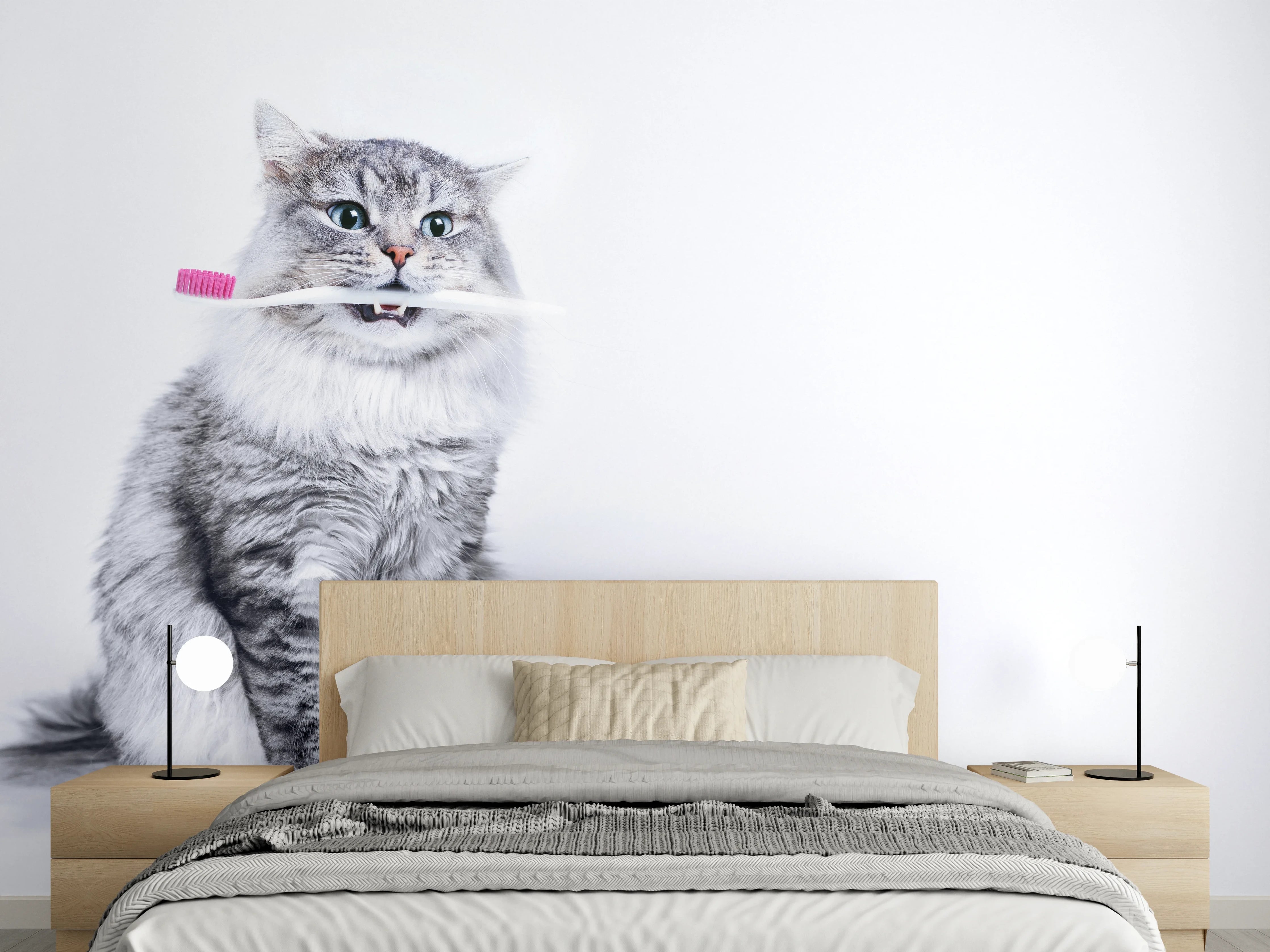 Wandverkleidung Schlafzimmer - Lustige Katze mit Zahnbürste
