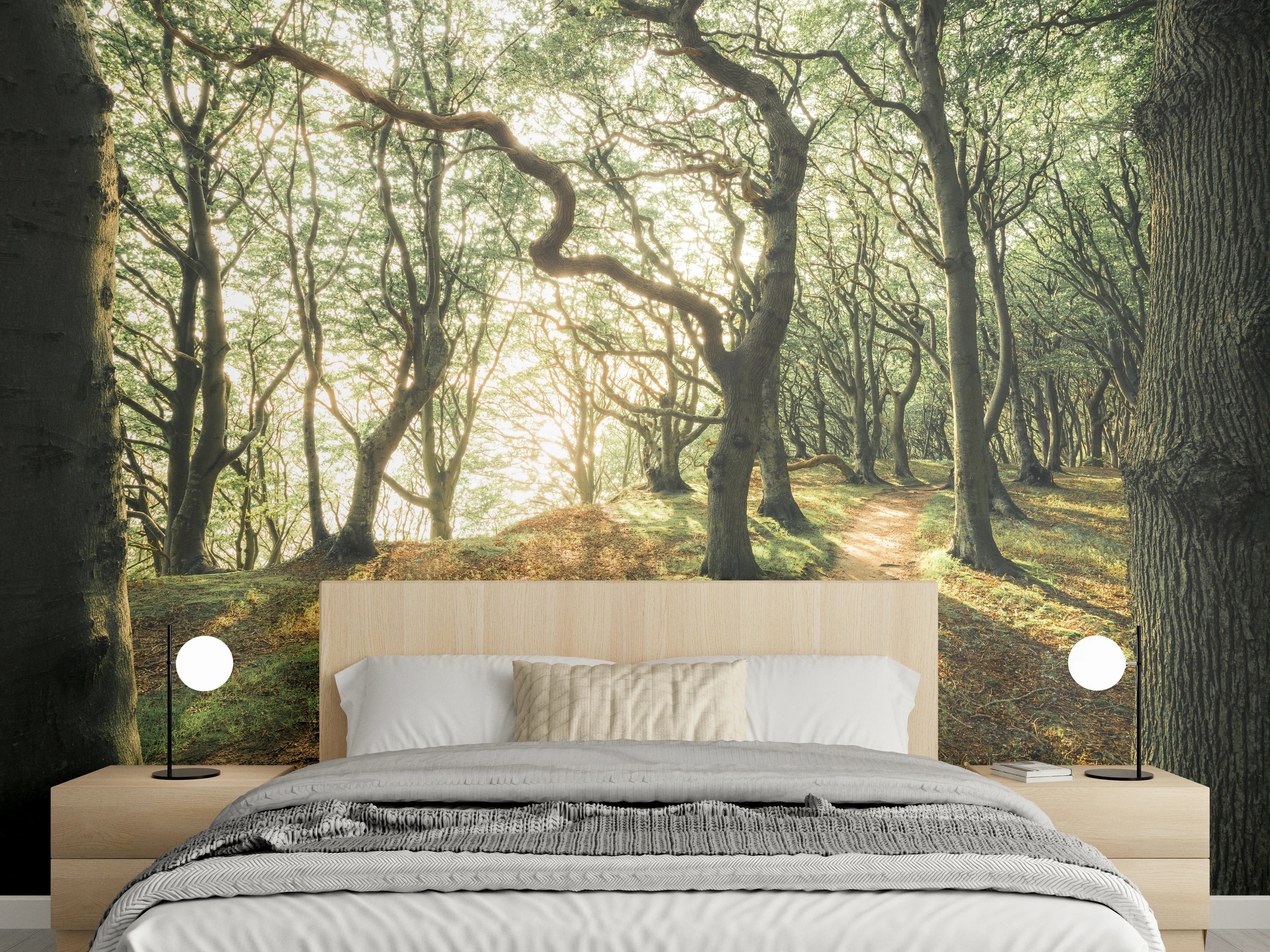 Wandverkleidung Schlafzimmer - Märchenwald im Sonnenlicht Fotomotiv