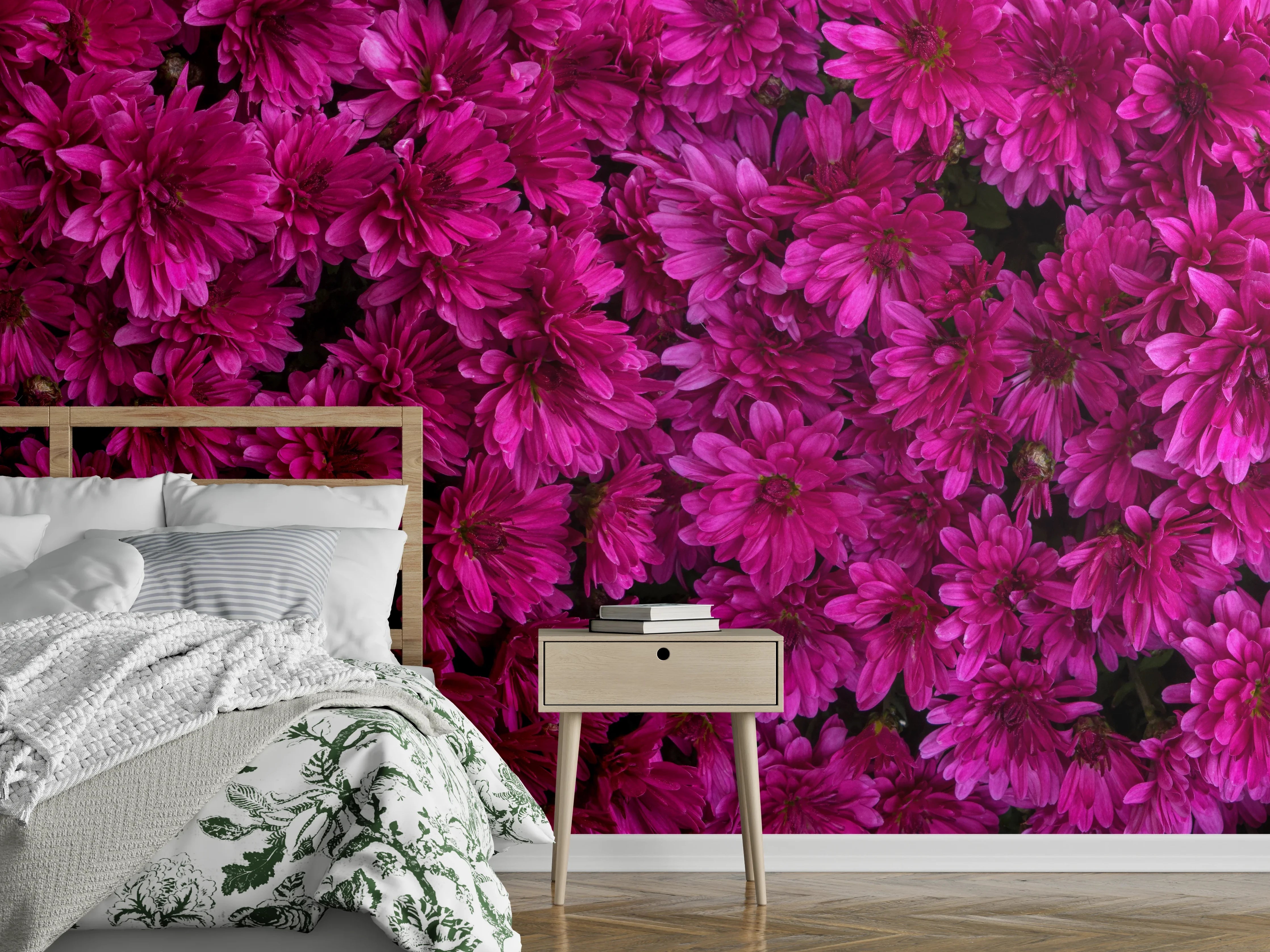 Wandverkleidung Schlafzimmer - Magenta Blüten von Chrysanthemen