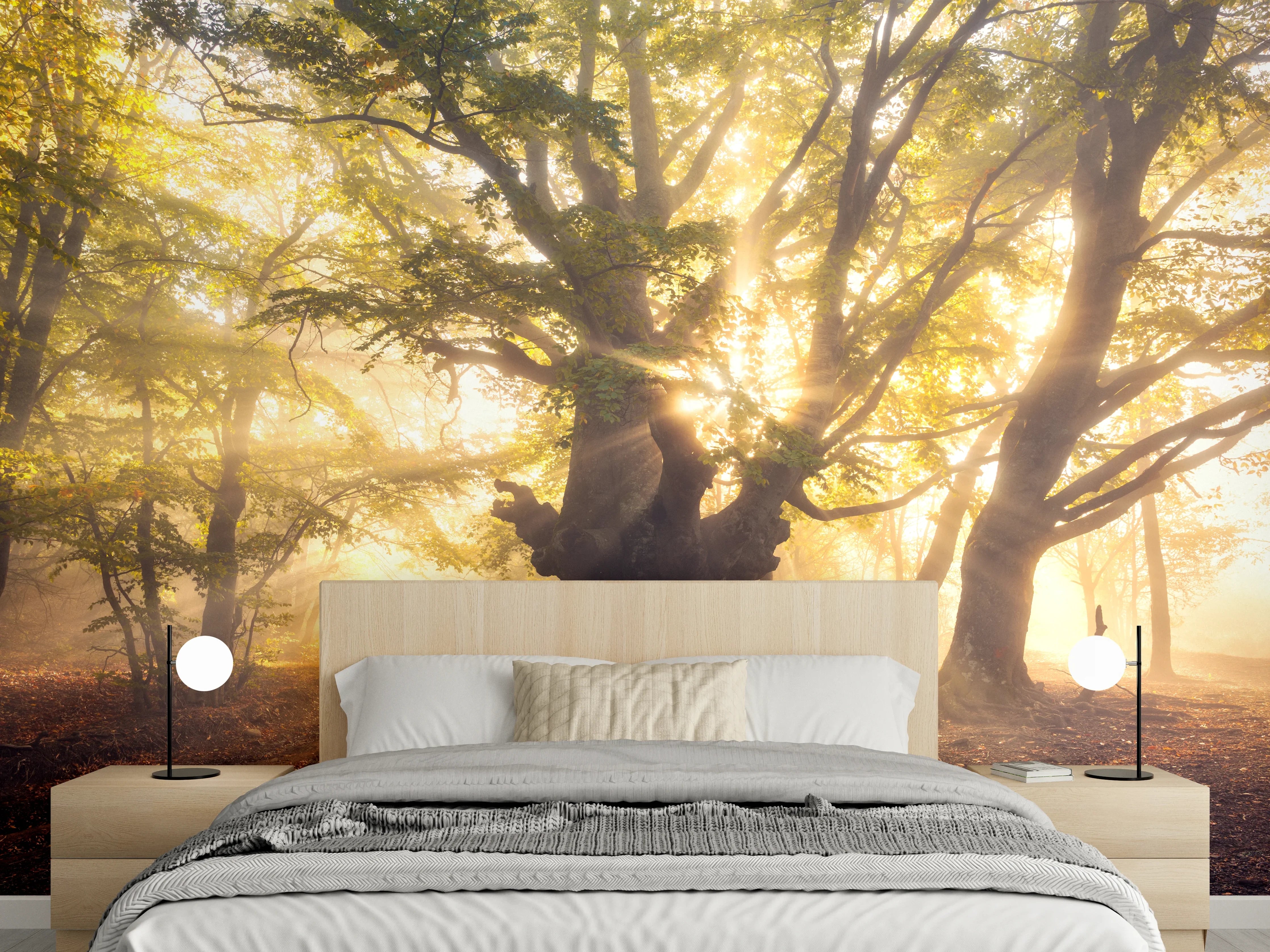 Wandverkleidung Schlafzimmer - Magischer Morgenwald – Sonnenstrahlen im Baum