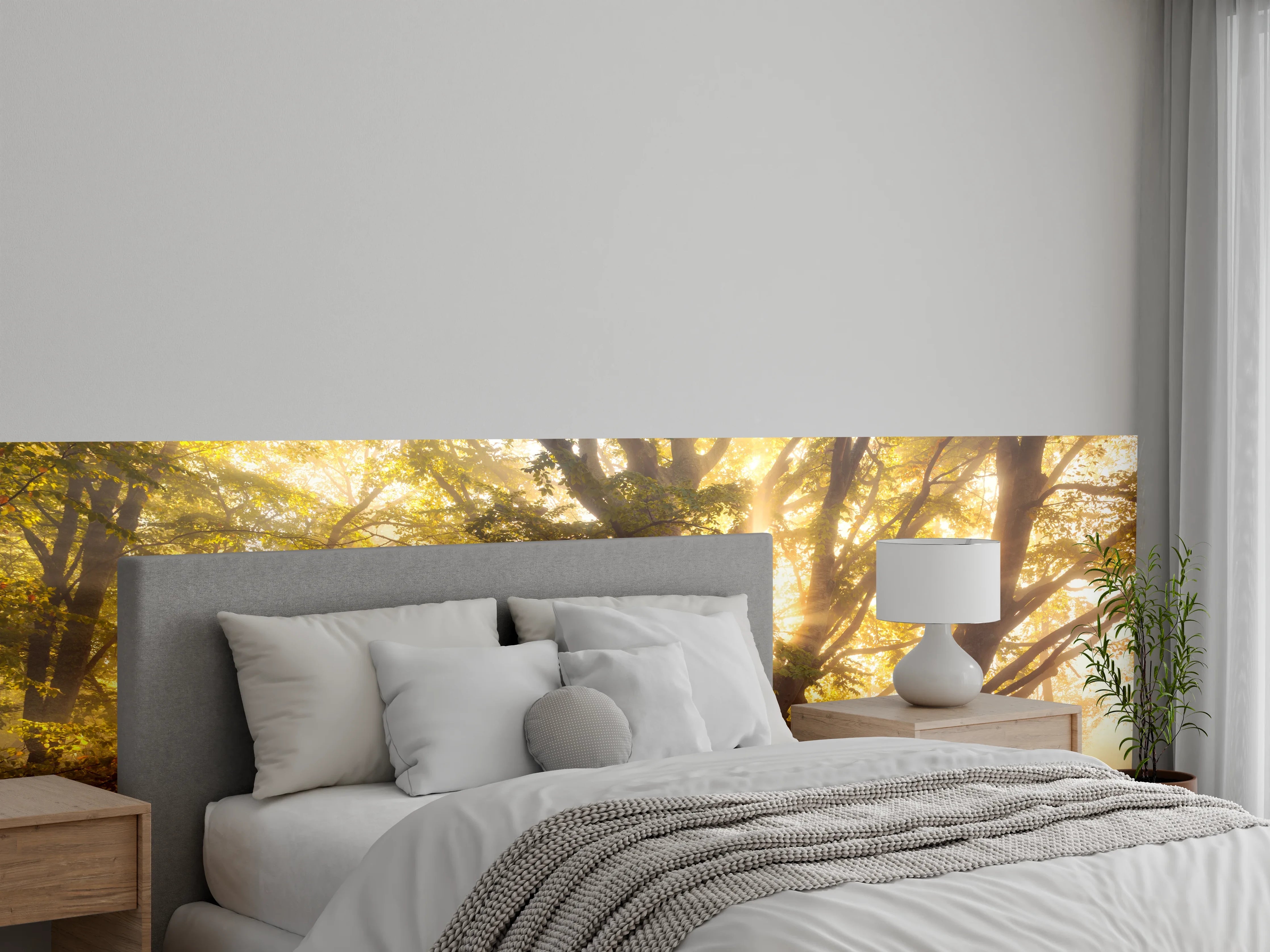 Wandverkleidung Schlafzimmer - Magischer Morgenwald – Sonnenstrahlen im Baum