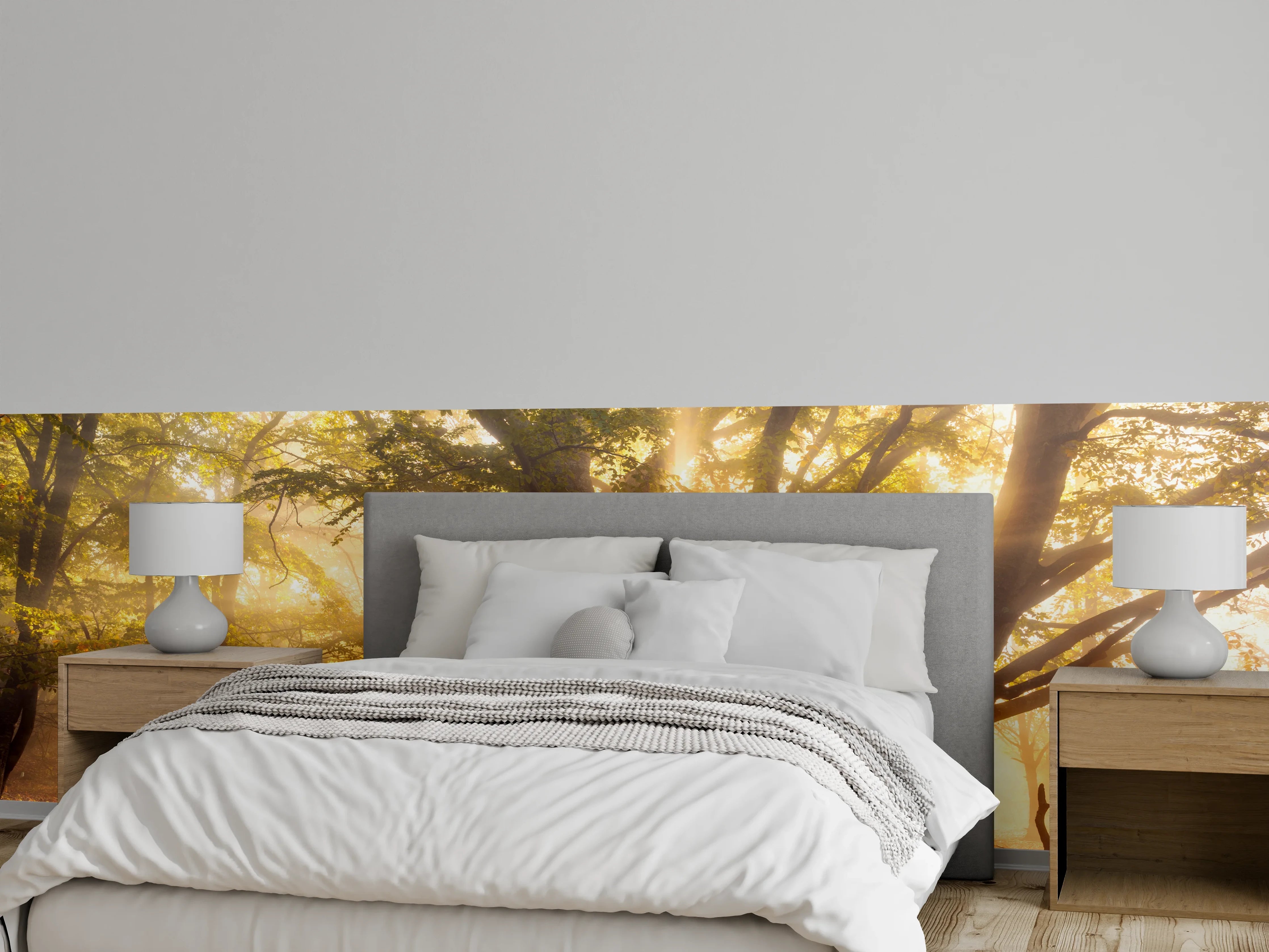 Wandverkleidung Schlafzimmer - Magischer Morgenwald – Sonnenstrahlen im Baum