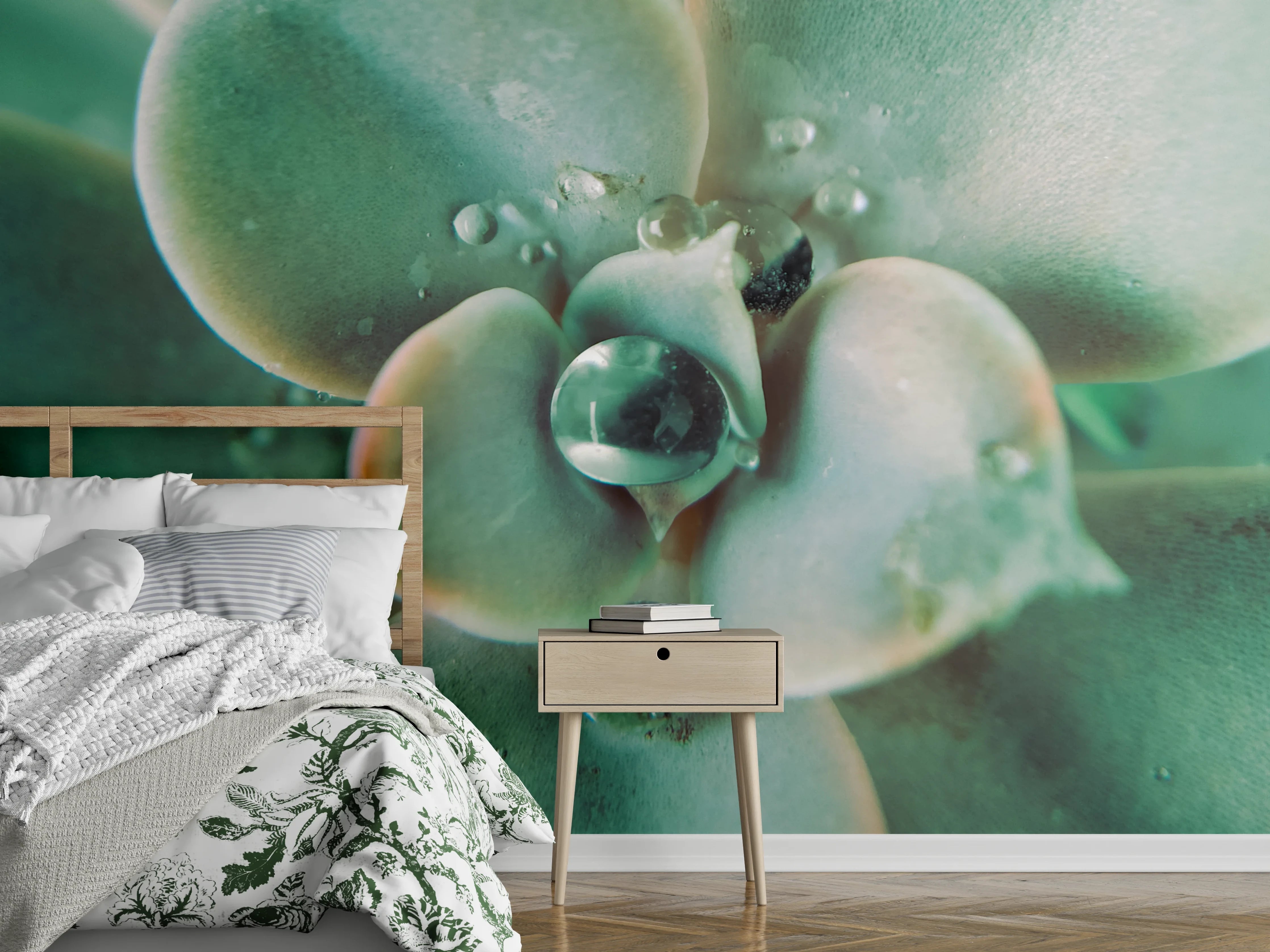 Wandverkleidung Schlafzimmer - Makroaufnahme Sukkulente: Frische Tropfen-Detail