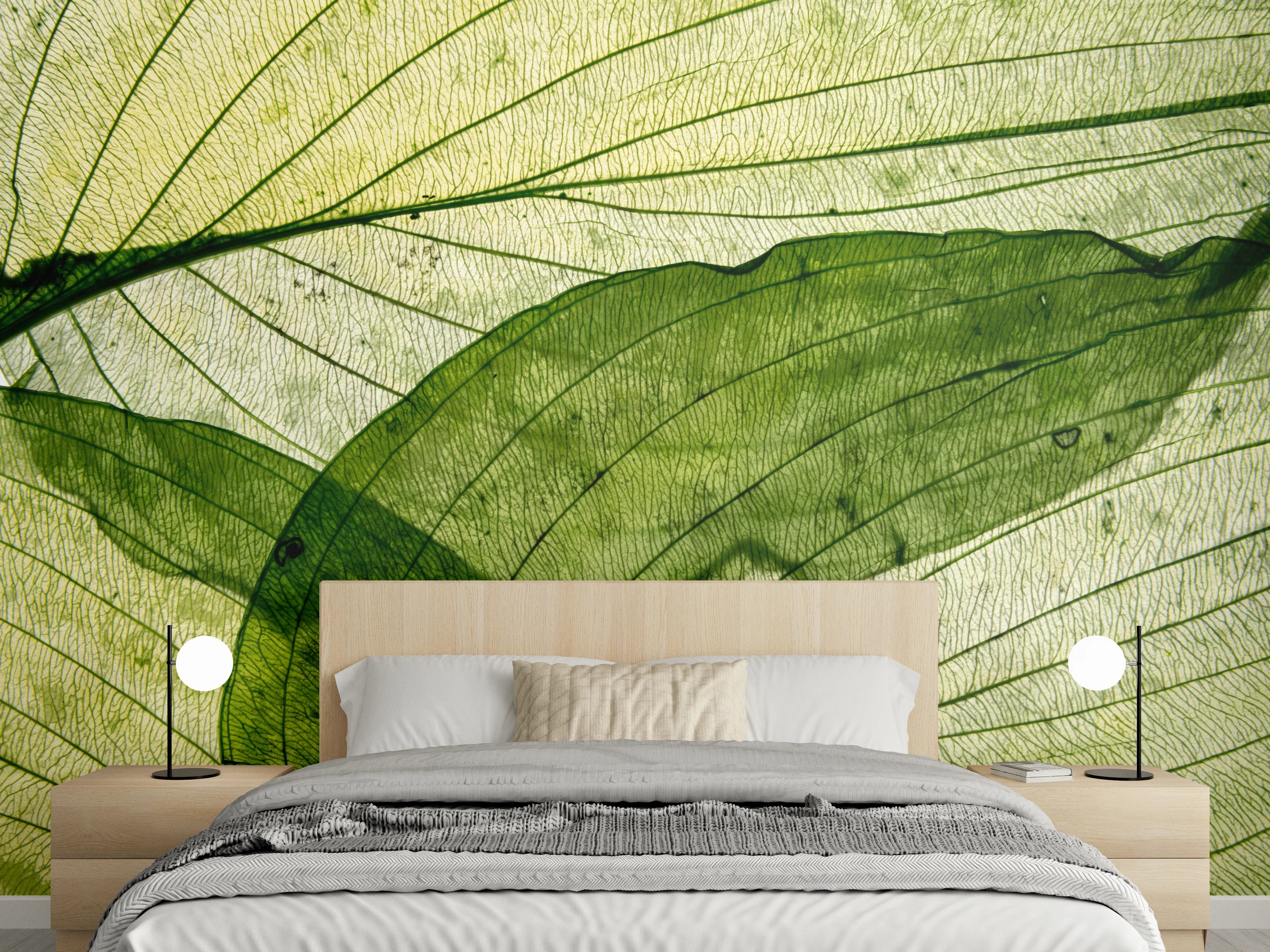 Wandverkleidung Schlafzimmer - Makrotextur von herbstlich getrockneten Blättern