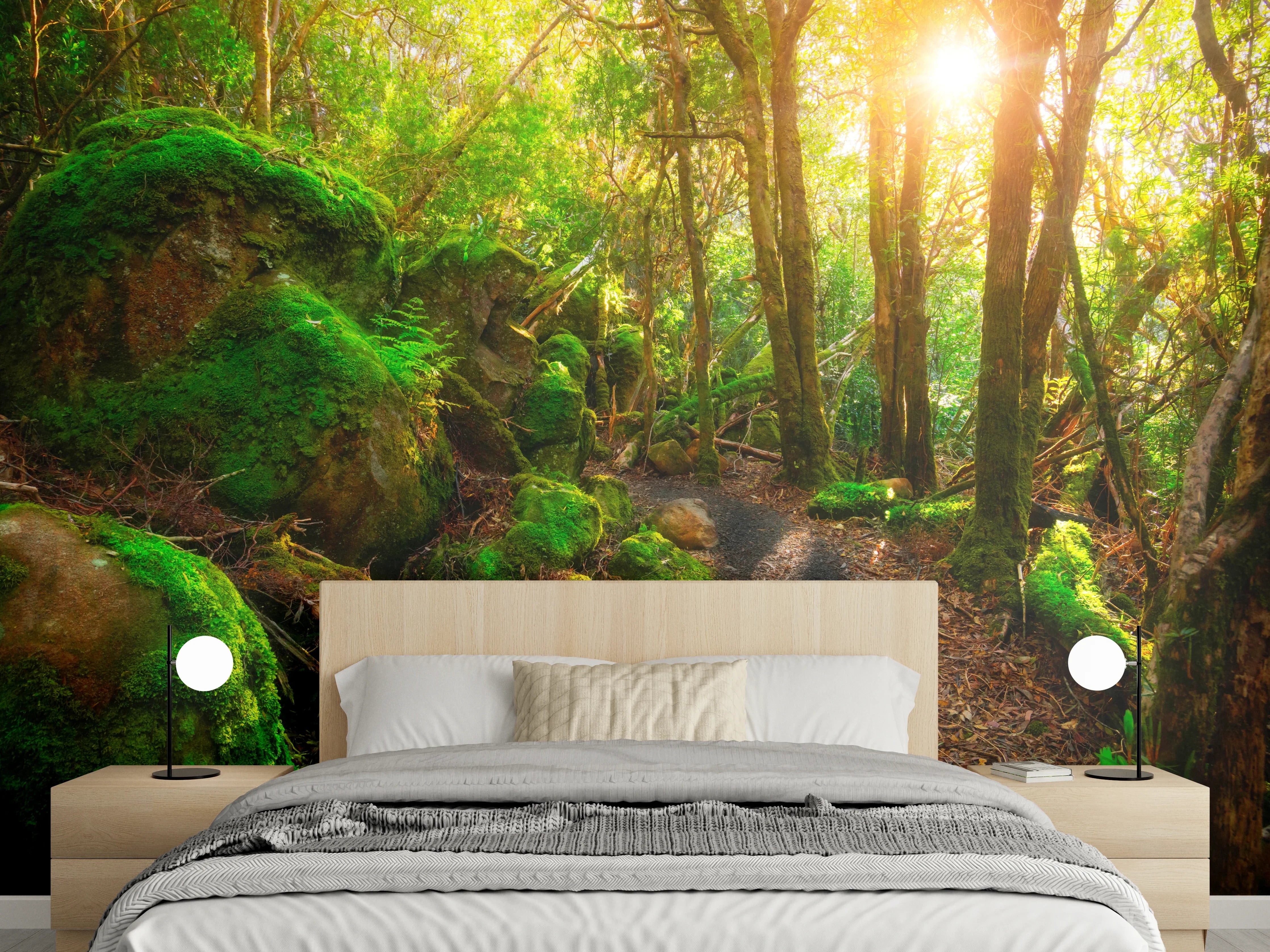 Wandverkleidung Schlafzimmer - Morgenlicht im moosbedeckten Waldpfad